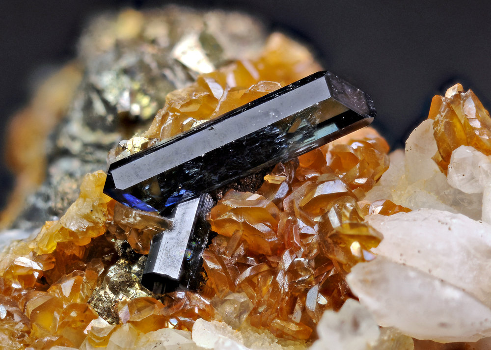 Vivianite
FOV 12mm
(Autor: Carlos Pareja)
