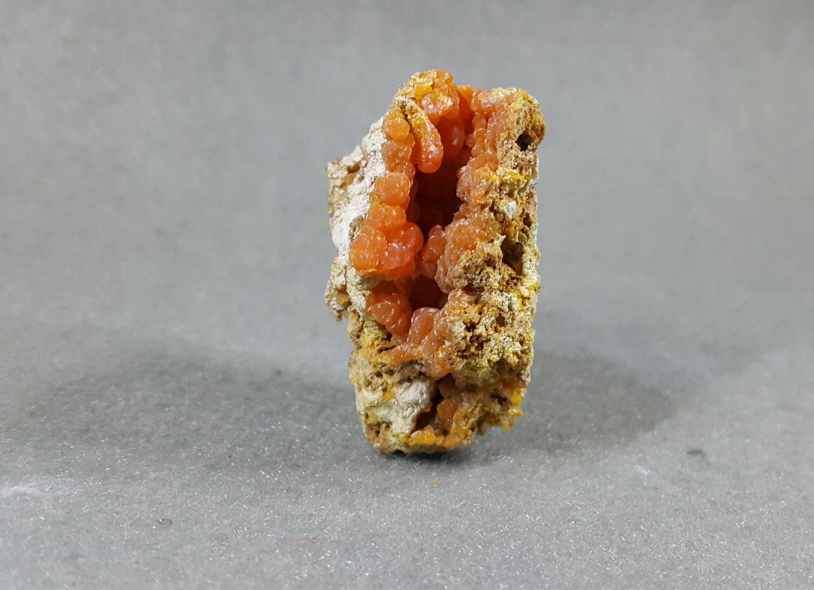 2 * 4 cm
(Autor: h.abbasi)
