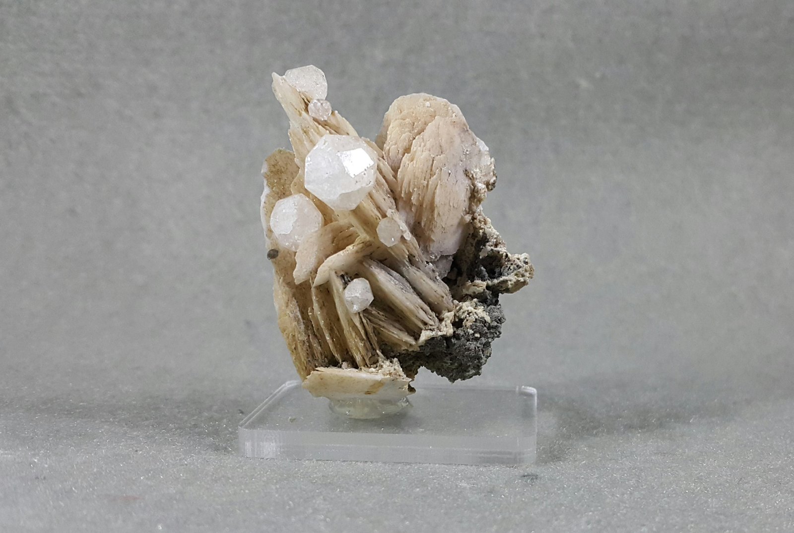 Analcime 
3.5 * 4.5 cm
(Autor: h.abbasi)