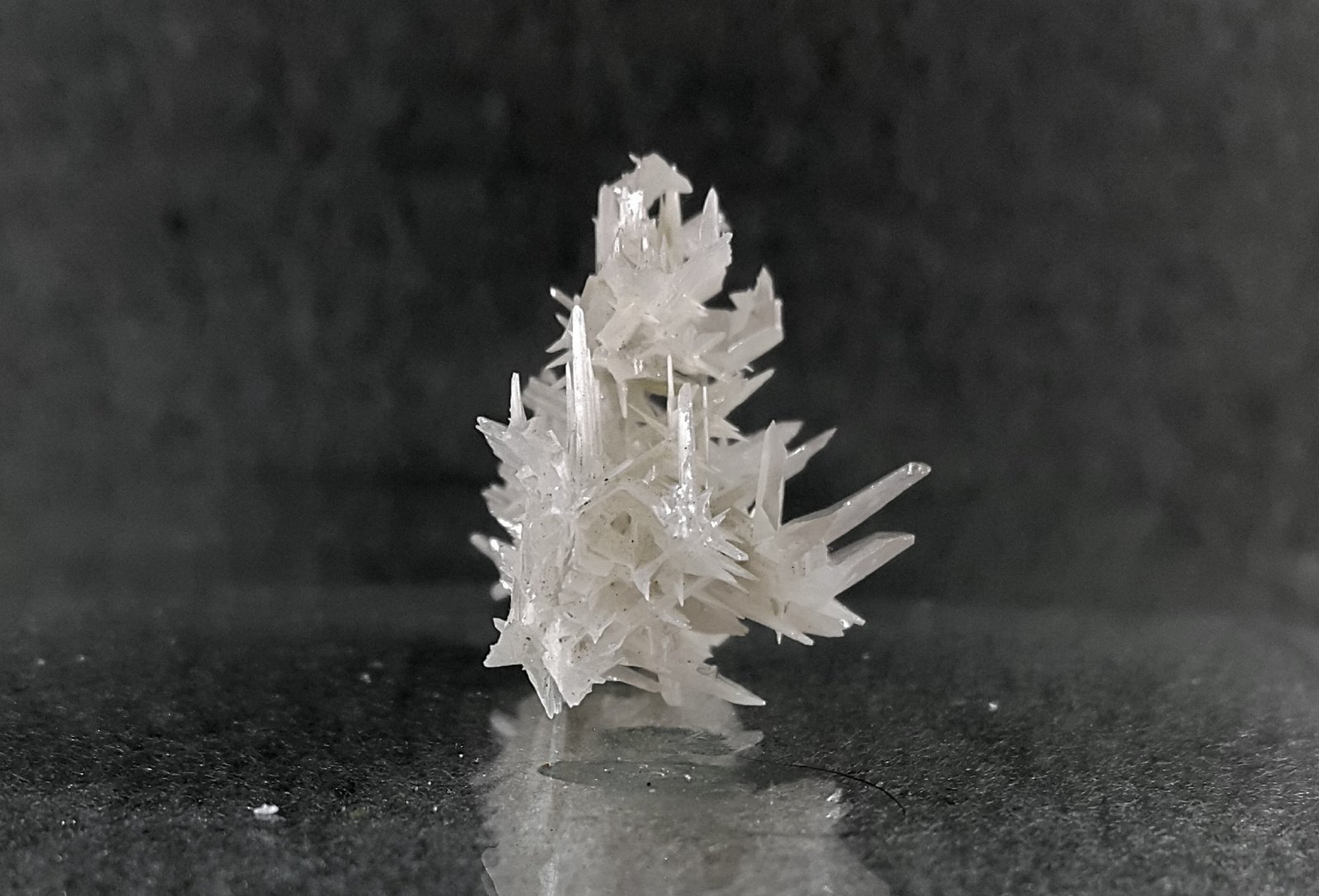 Cerussite
30 * 28 * 40 mm
(Autor: h.abbasi)