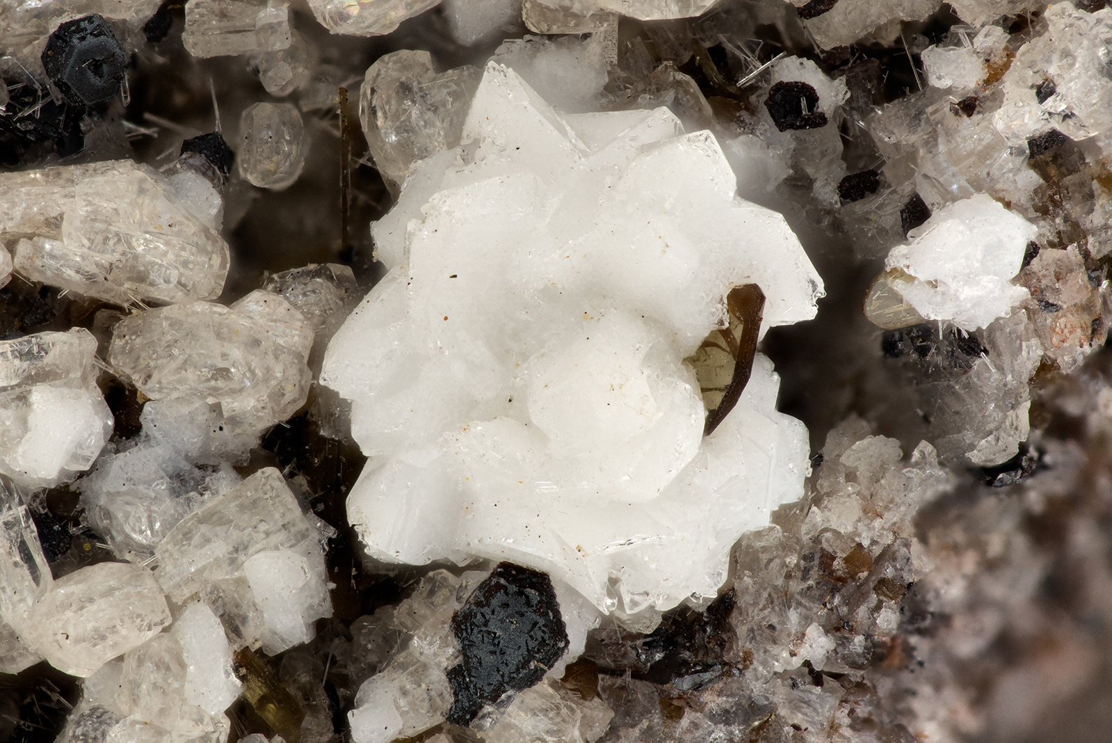 Cristobalite
FOV = 3.3 mm
(Autor: Doug)