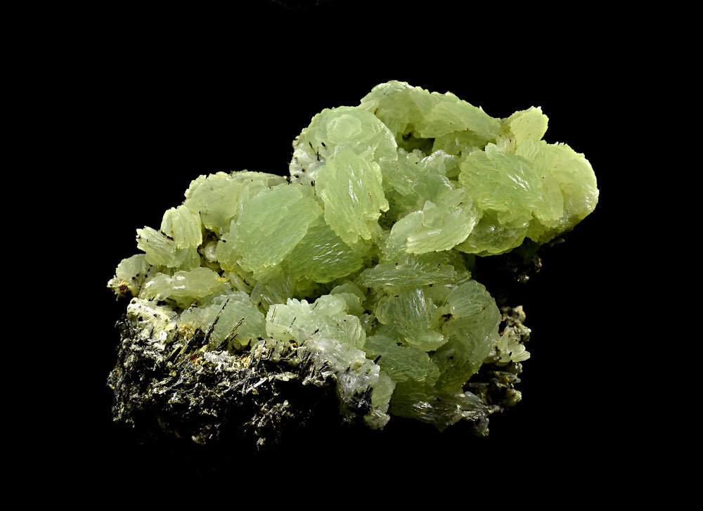 Prehnite and Augite
81x59x43mm
(Autor: Carlos Pareja)