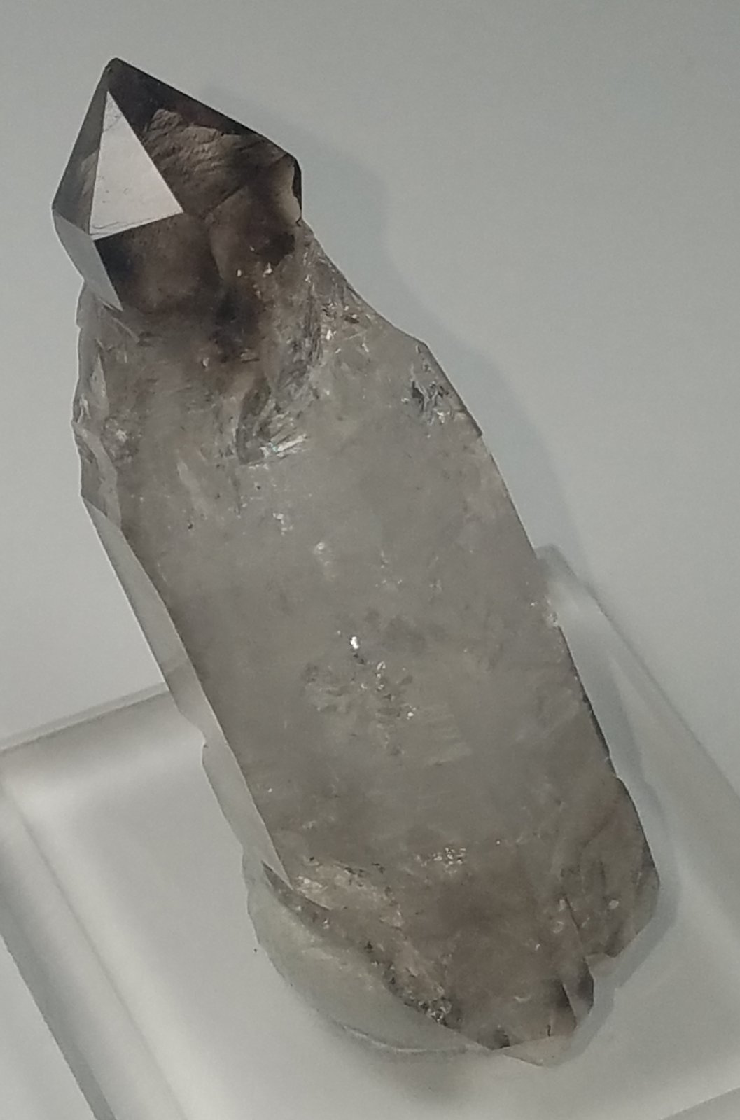 Quartz (variety smoky and reverse scepter)
5.3 cm x 1.3 cm
(Autor: kushmeja)