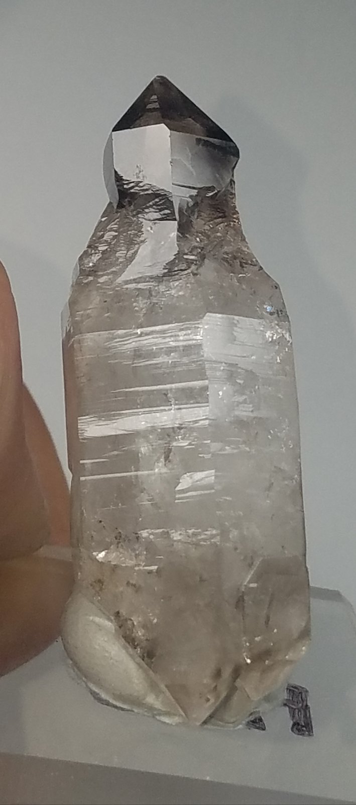 Quartz (variety smoky and reverse scepter)
5.3 cm x 1.3 cm
(Autor: kushmeja)