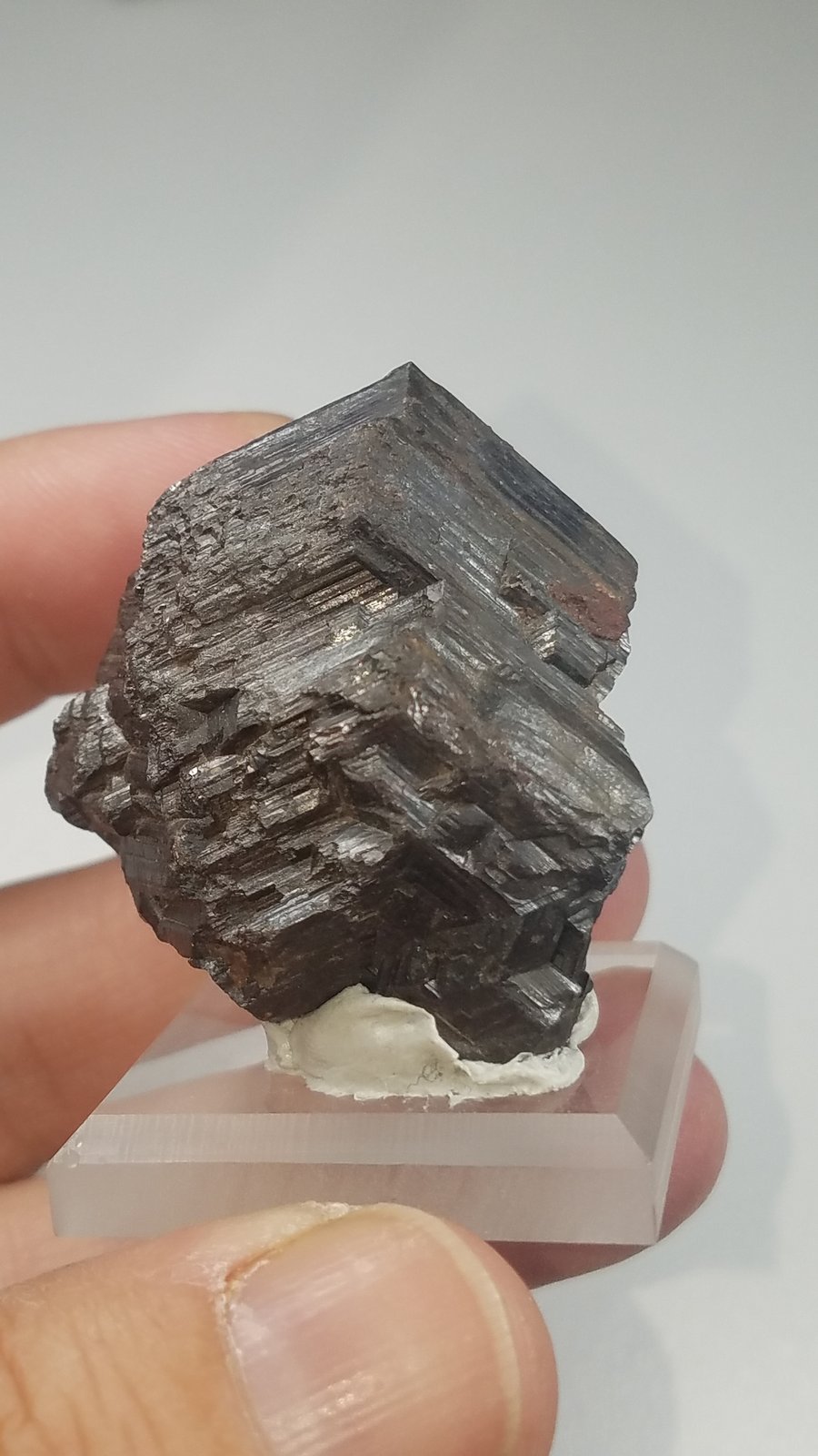 Rutile
3.8 cms x 3.7 cms x 3.1 cms
(Autor: kushmeja)