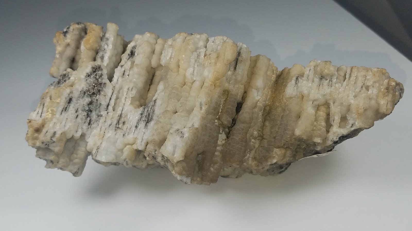 Wavellite
13.6 cms x 6.5 cms
(Autor: kushmeja)