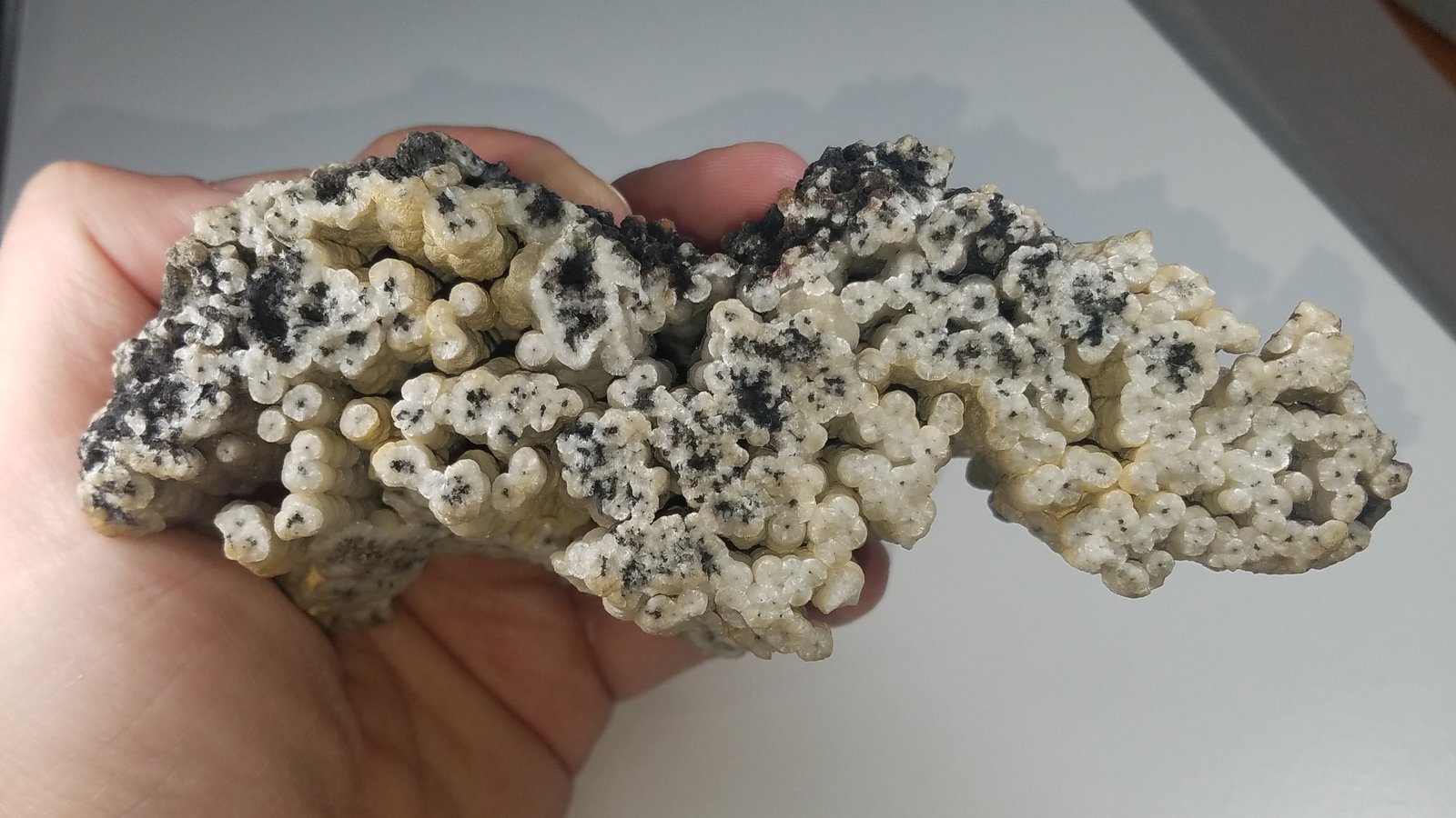 Wavellite
13.6 cms x 6.5 cms
(Autor: kushmeja)