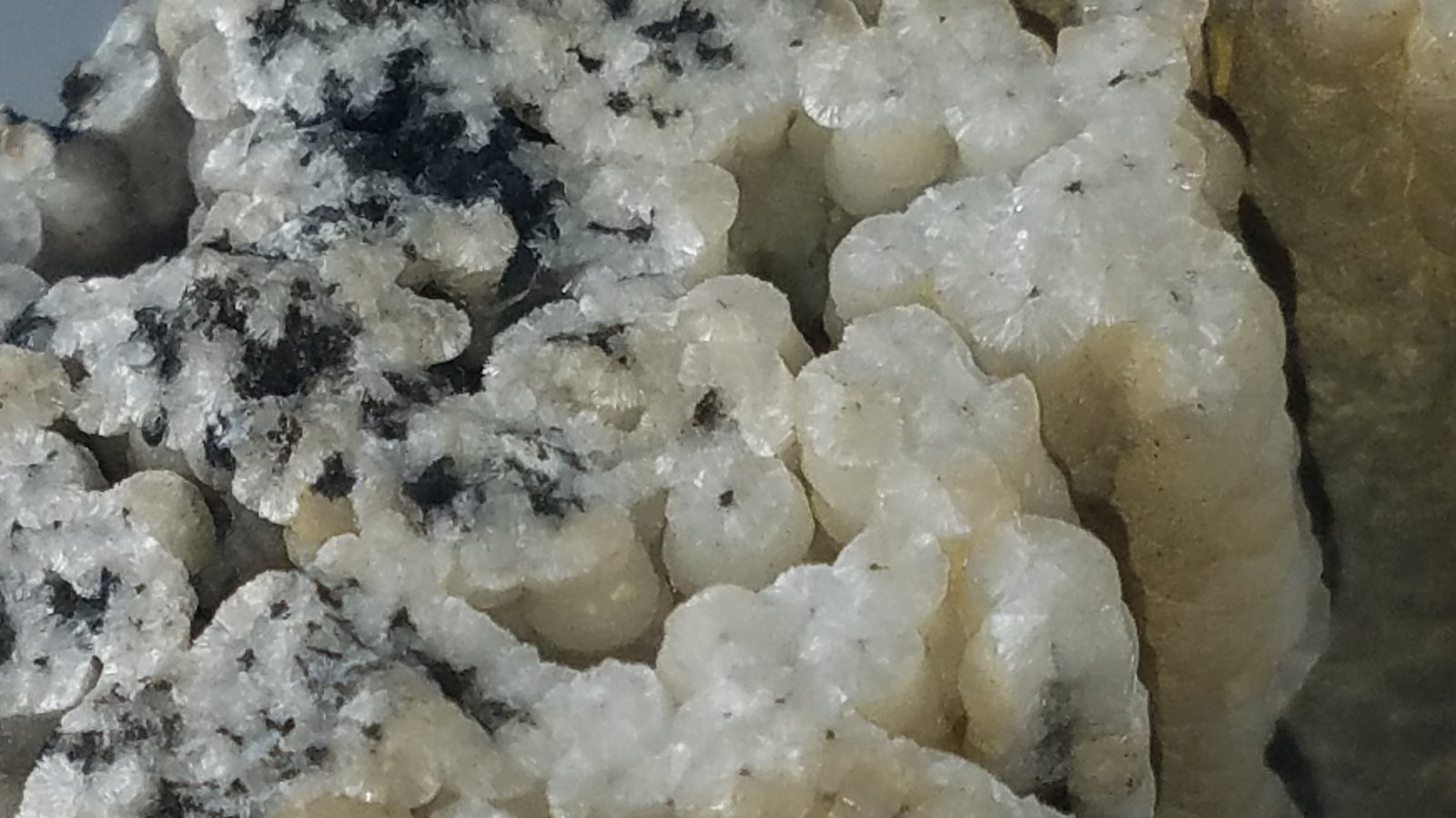 Wavellite
13.6 cms x 6.5 cms
(Autor: kushmeja)