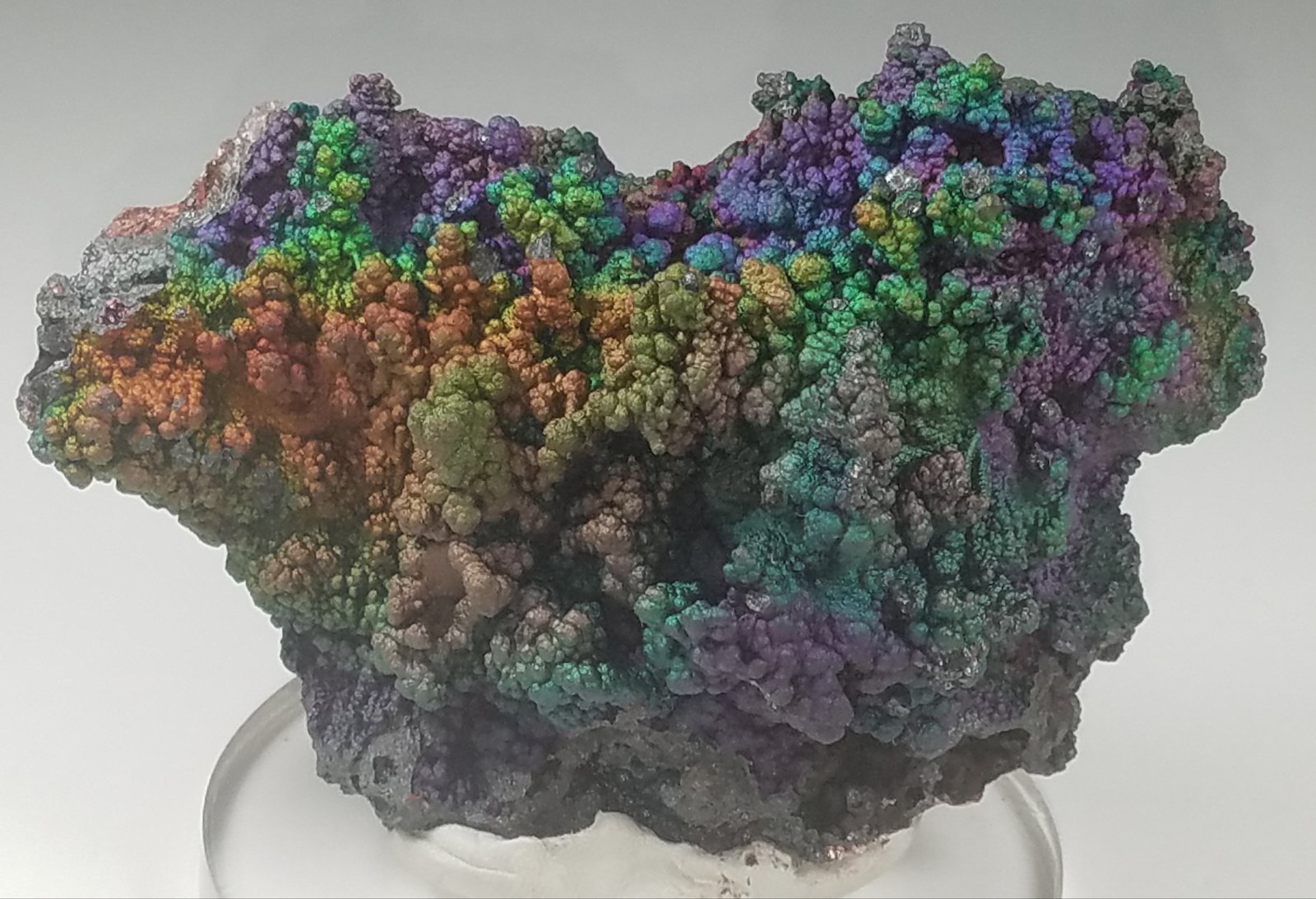 Goethite (variety turgite)
8.3 cms x 5.6 cms
(Autor: kushmeja)