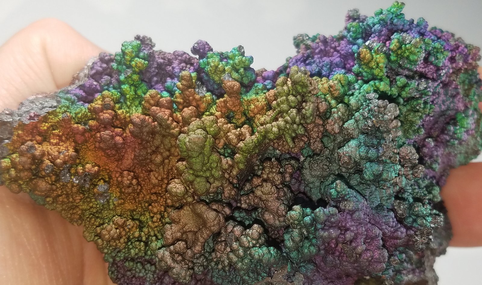 Goethite (variety turgite)
8.3 cms x 5.6 cms
(Autor: kushmeja)