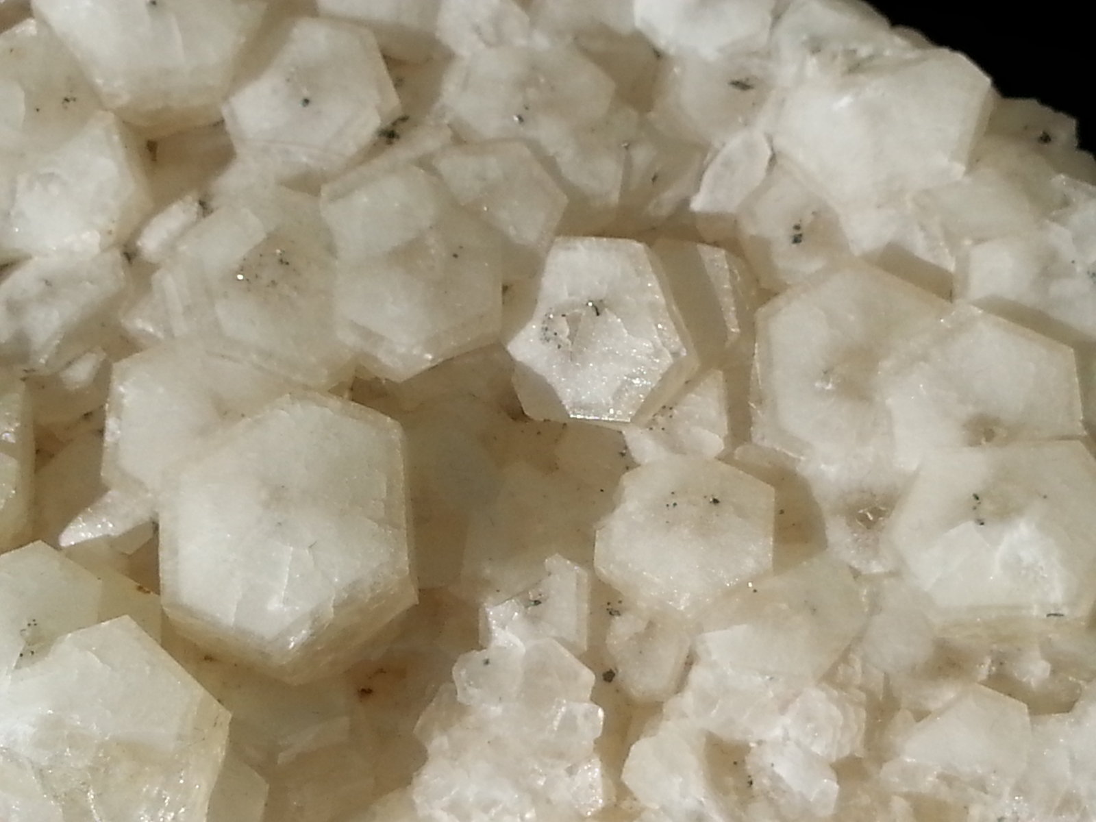 Calcite and Pyrite
12 x 6 cm
(Autor: Volkmar Stingl)