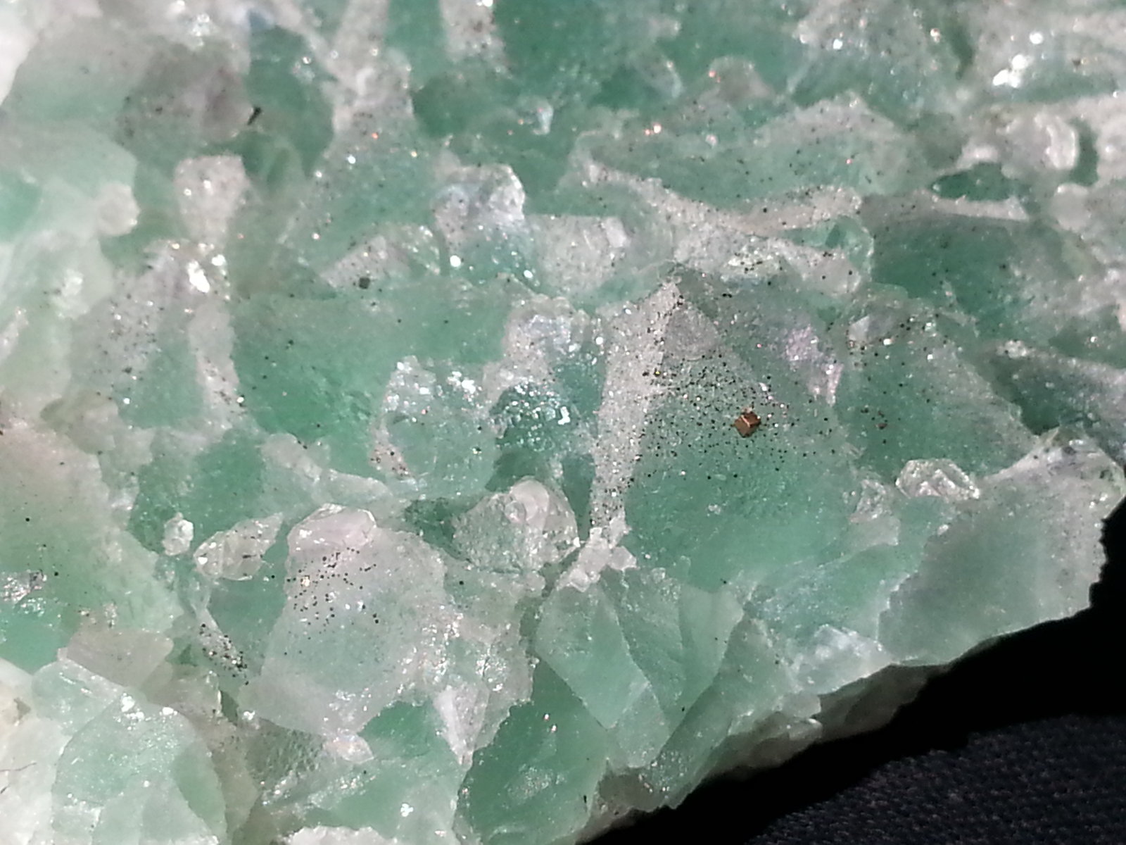Fluorite with Quartz and Pyrite
9 x 7 cm
(Autor: Volkmar Stingl)