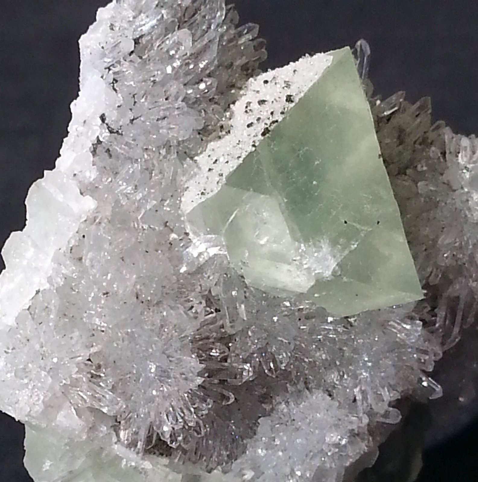 Fluorite with Quartz and Pyrite
4 x 4 cm
(Autor: Volkmar Stingl)