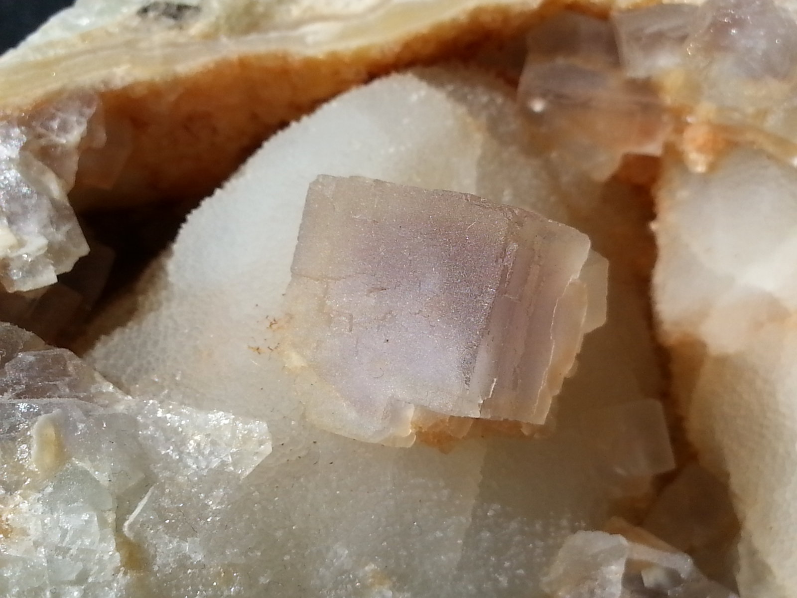 Fluorite on Quartz (variety chalcedony)
12 x 8 cm
(Autor: Volkmar Stingl)