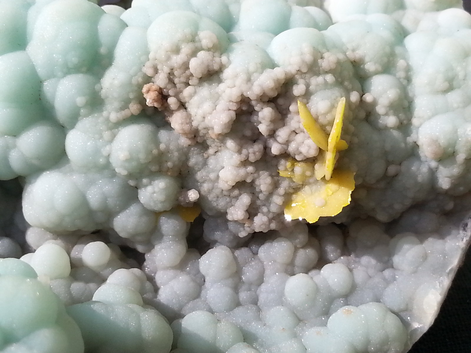 Gibbsite, Wulfenite
11 x 9 cm
(Autor: Volkmar Stingl)