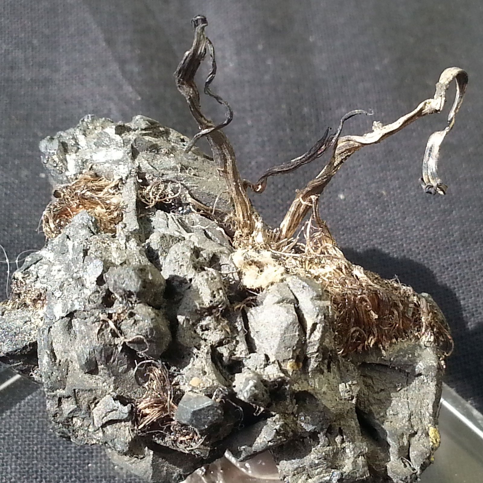 Silver, Acanthite
3 x 3,5 cm
(Autor: Volkmar Stingl)