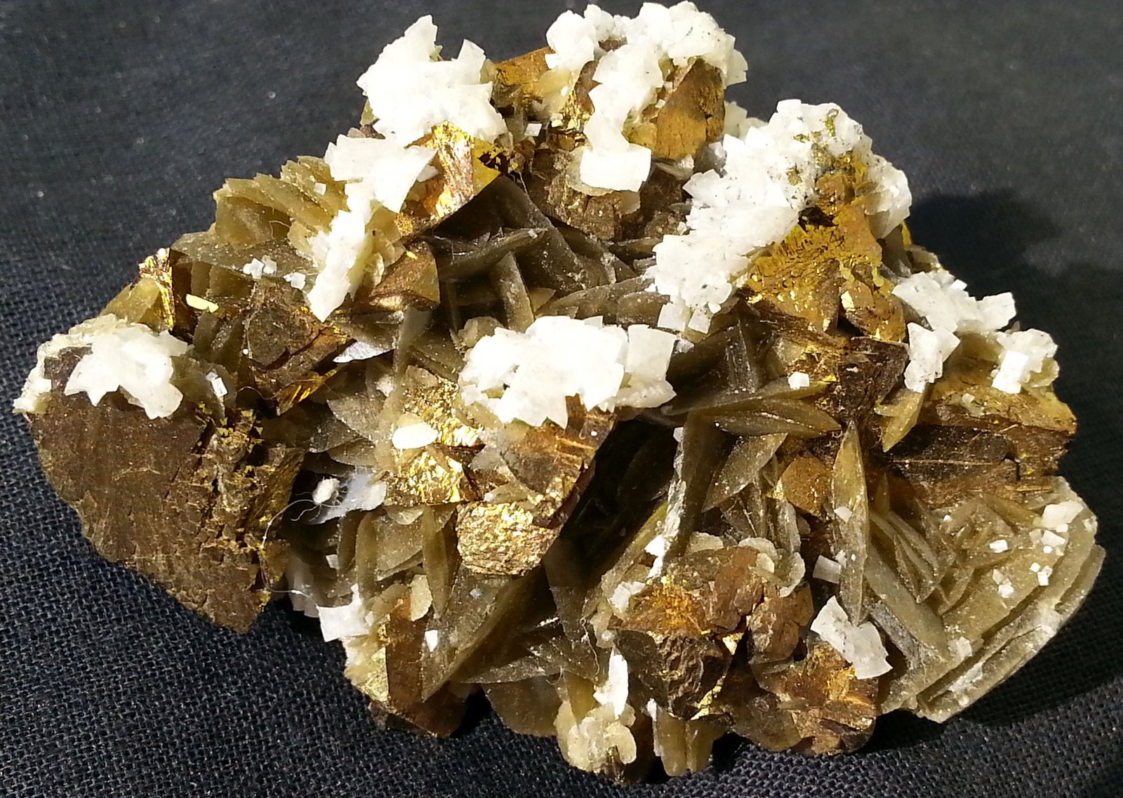 Chalcopyrite, Siderite, Dolomite
5 x 4 cm
(Autor: Volkmar Stingl)
