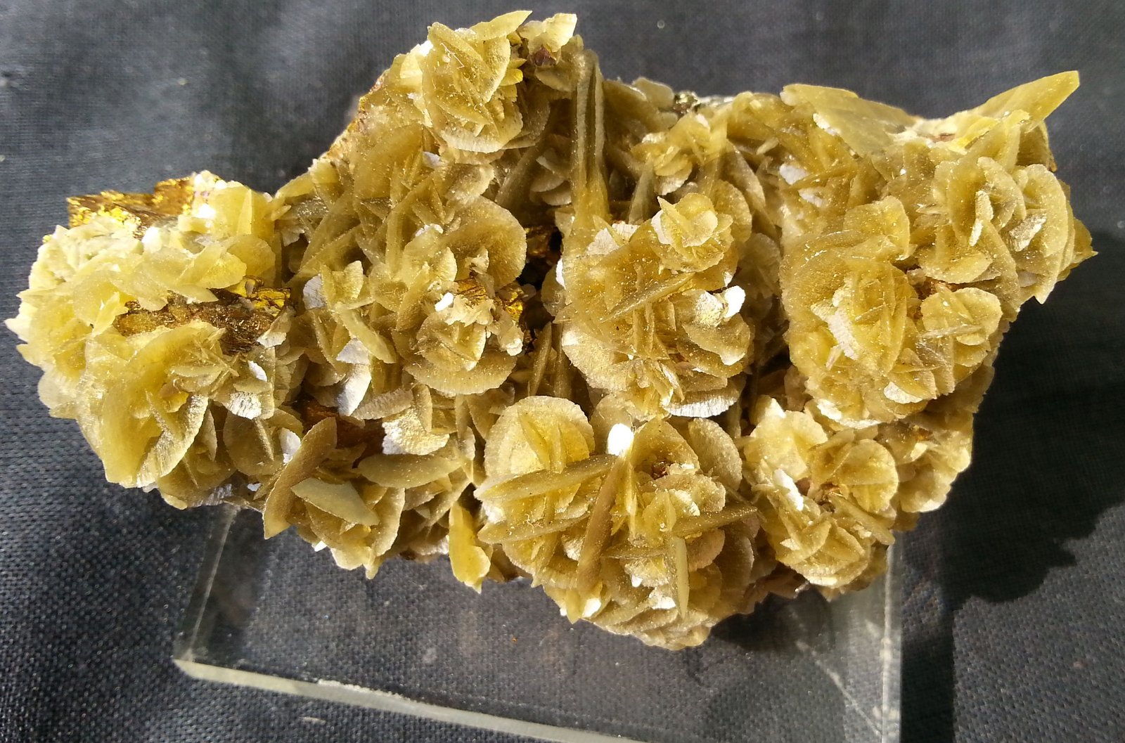 Siderite on Chalcopyrite
7 x 4 cm
(Autor: Volkmar Stingl)