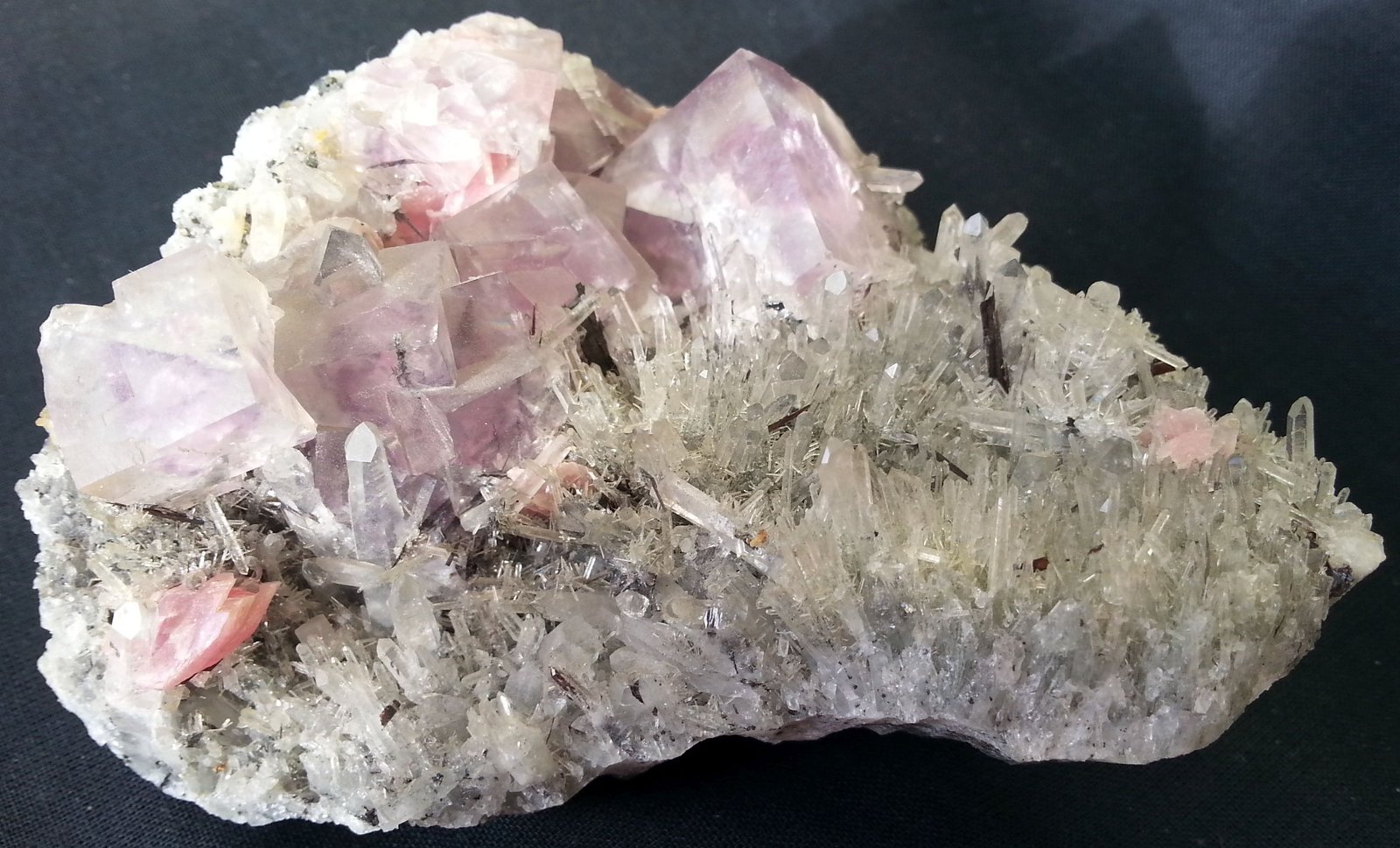 Fluorite, Rhodochrosite, Ferberite, Quartz
10 x 7 x 4 cm
(Autor: Volkmar Stingl)