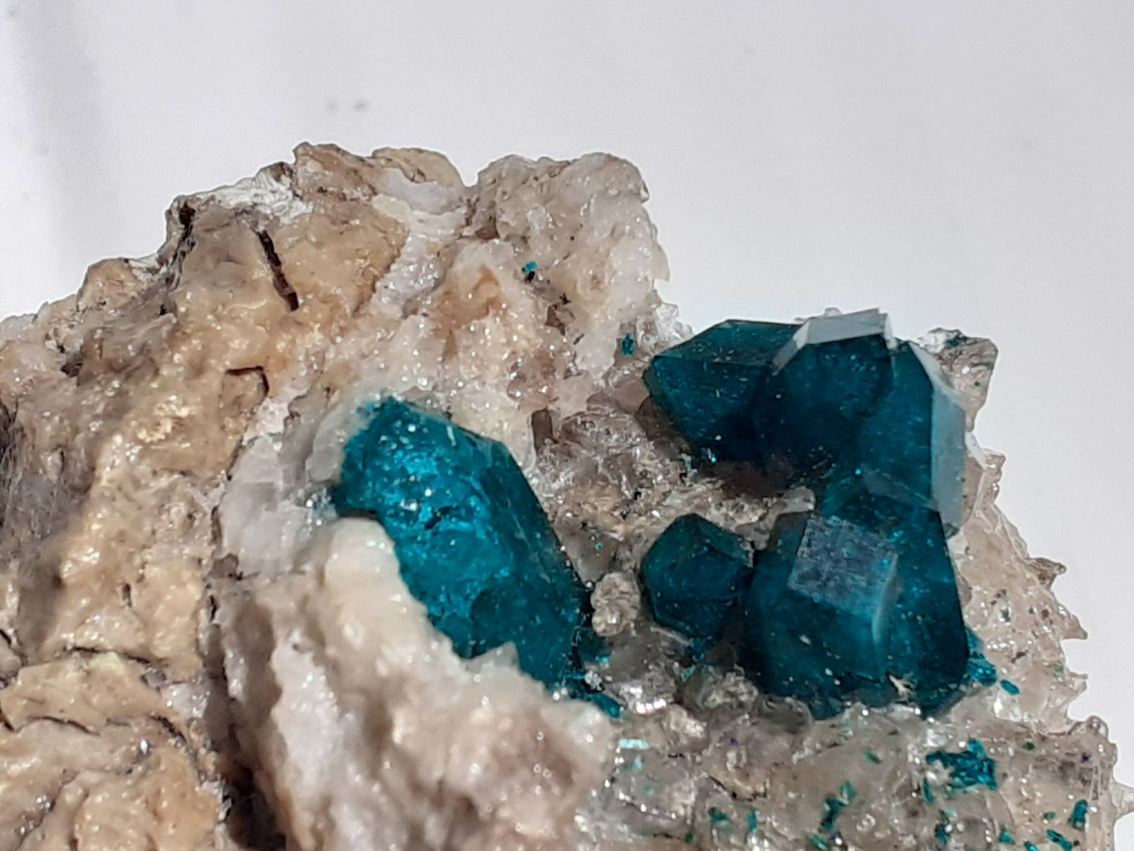 Dioptase, Quartz
8 x 7 cm
(Autor: Volkmar Stingl)