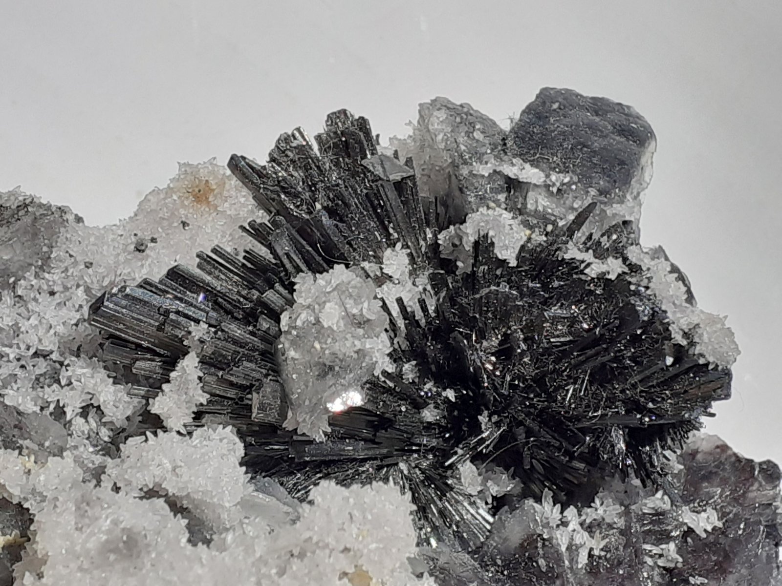Stibnite, Calcite
12 x 7 cm
(Autor: Volkmar Stingl)