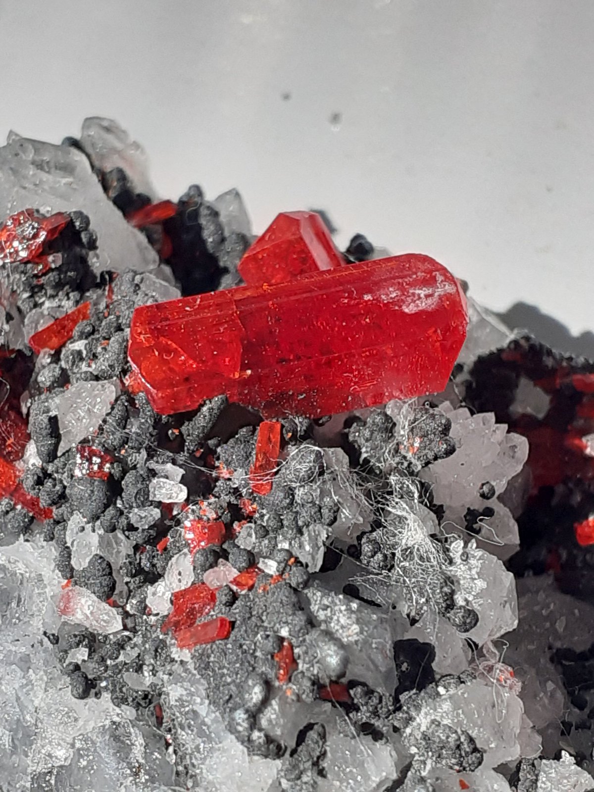 Realgar
6 x 5 cm
(Autor: Volkmar Stingl)