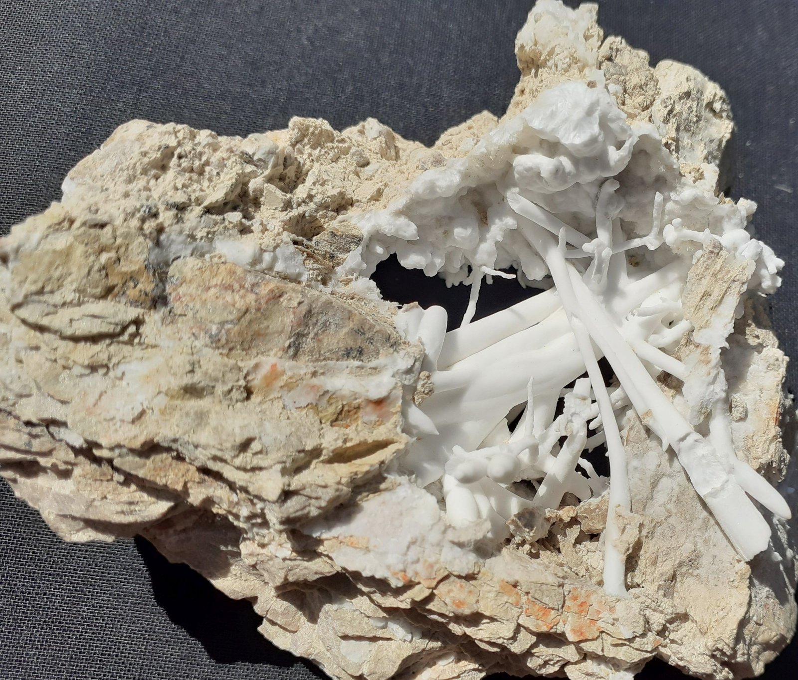 Aragonite (variety flos ferri)
8 x 7 cm
(Autor: Volkmar Stingl)