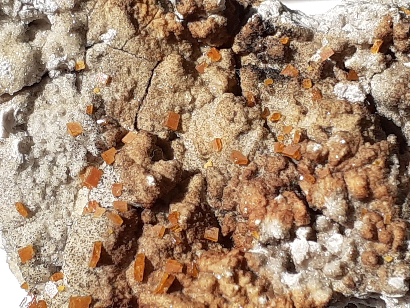 Wulfenite
4 x 2,5 cm
(Autor: Volkmar Stingl)