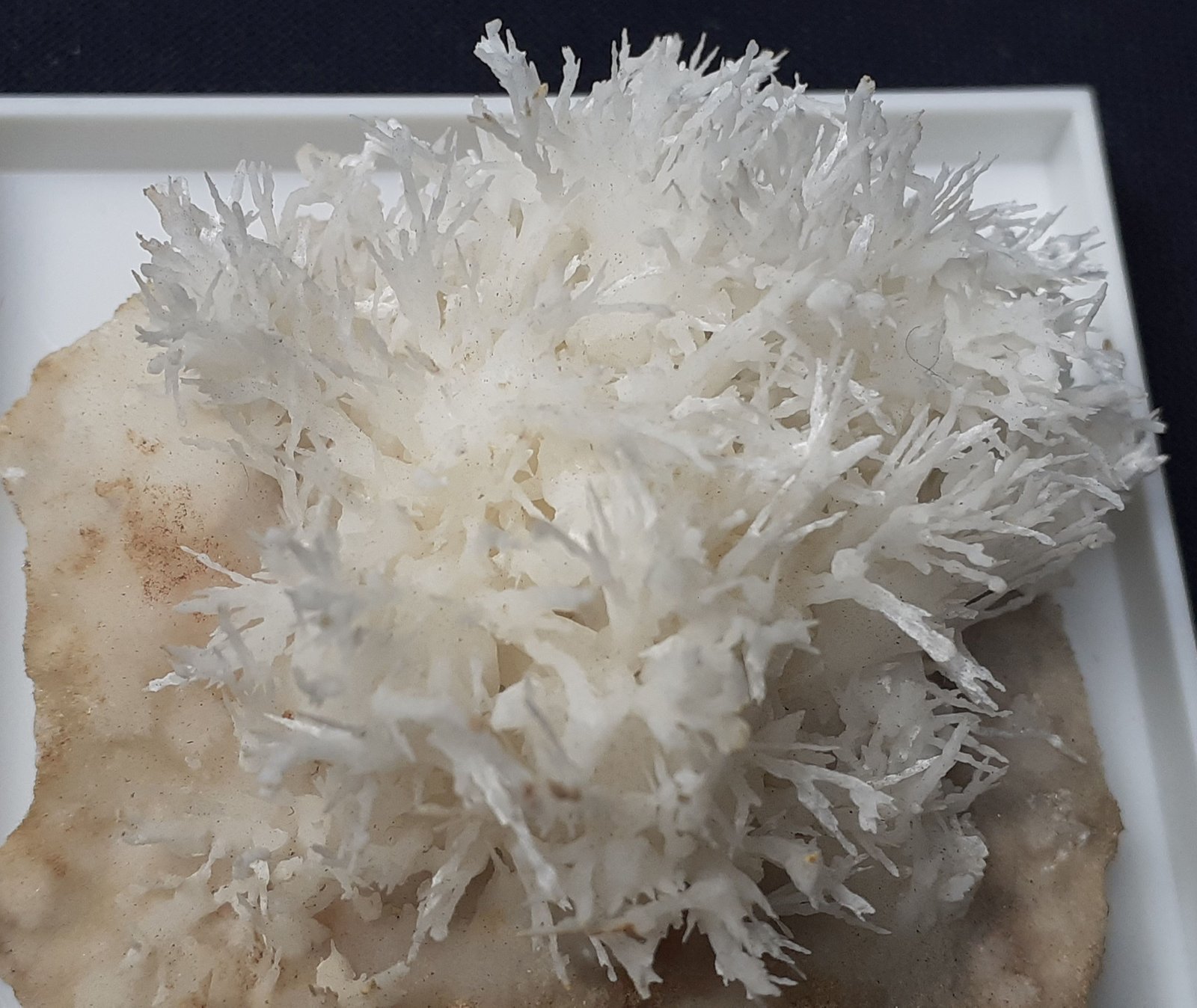 Aragonite (variety flos ferri)
4 x 4 cm
(Autor: Volkmar Stingl)