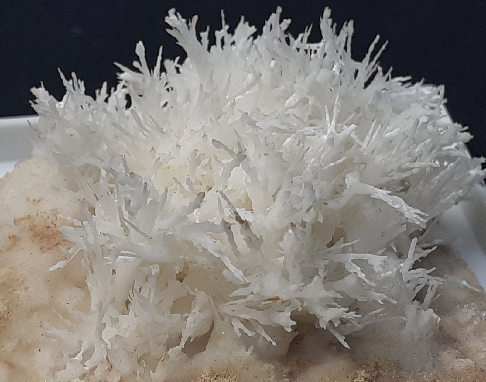 Aragonite (variety flos ferri)
4 x 4 cm
(Autor: Volkmar Stingl)