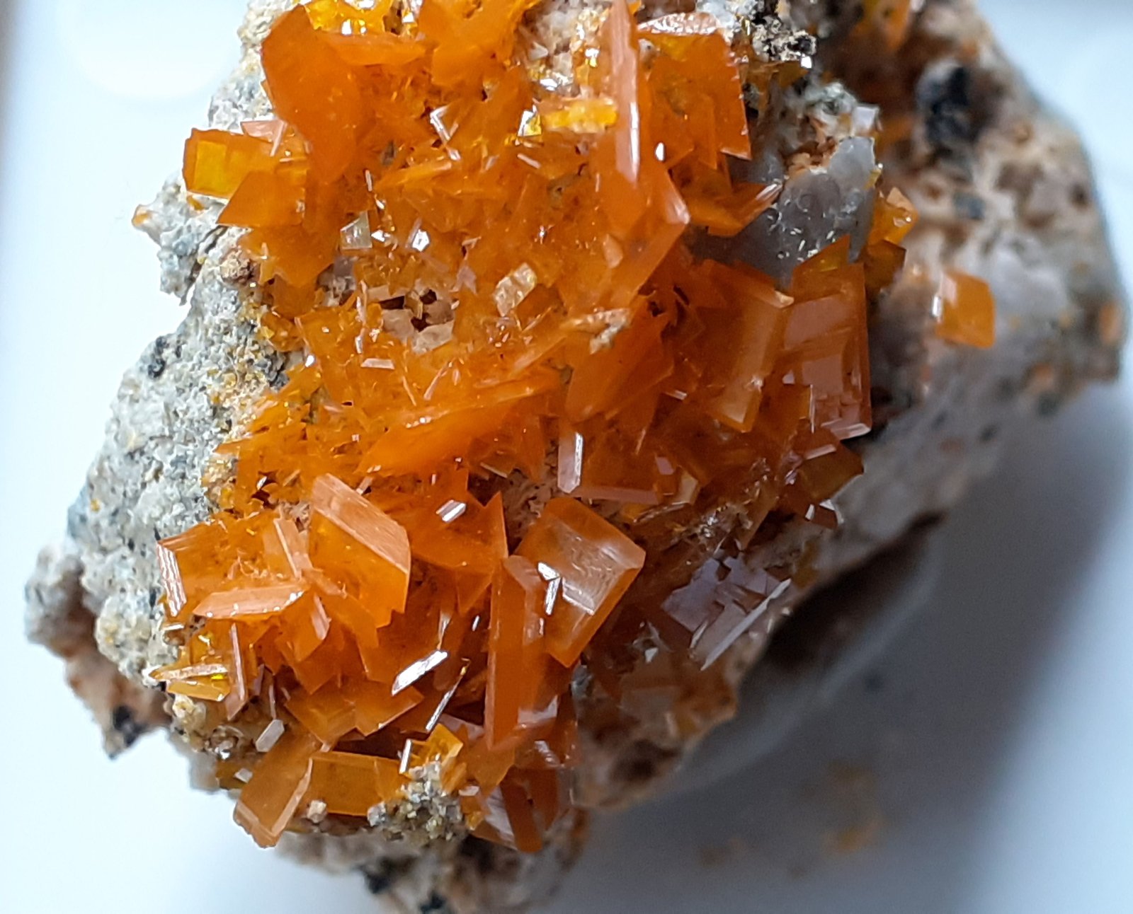 Wulfenite
4 x 3 cm
(Autor: Volkmar Stingl)