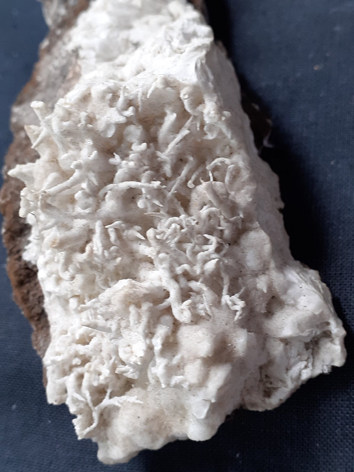 Aragonite (variety flos ferri)
10 x 4 cm
(Autor: Volkmar Stingl)