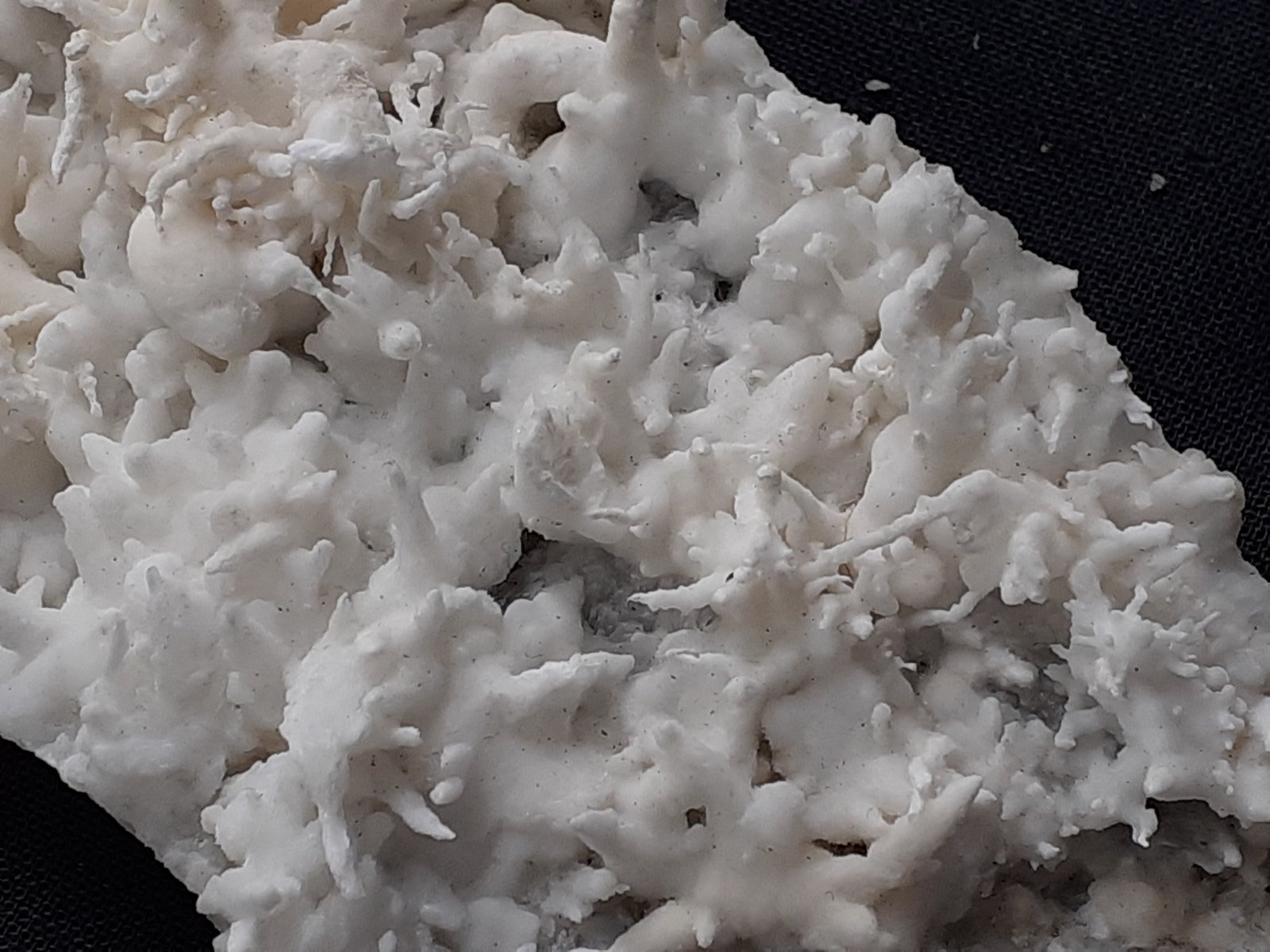 Aragonite (variety flos ferri)
11 x 4,5 cm
(Autor: Volkmar Stingl)