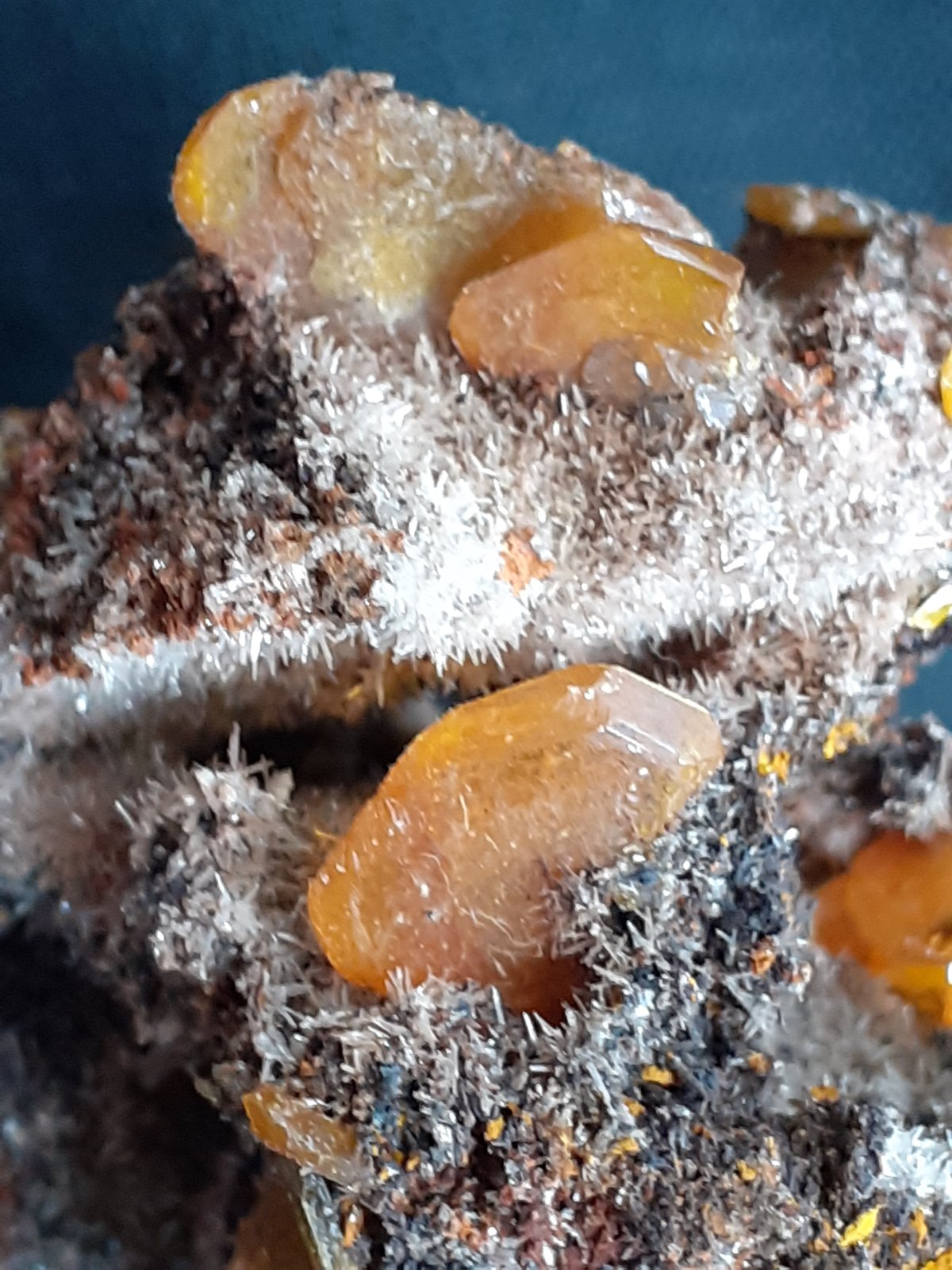Wulfenite, Plattnerite (?)
4 x 3 cm
(Autor: Volkmar Stingl)