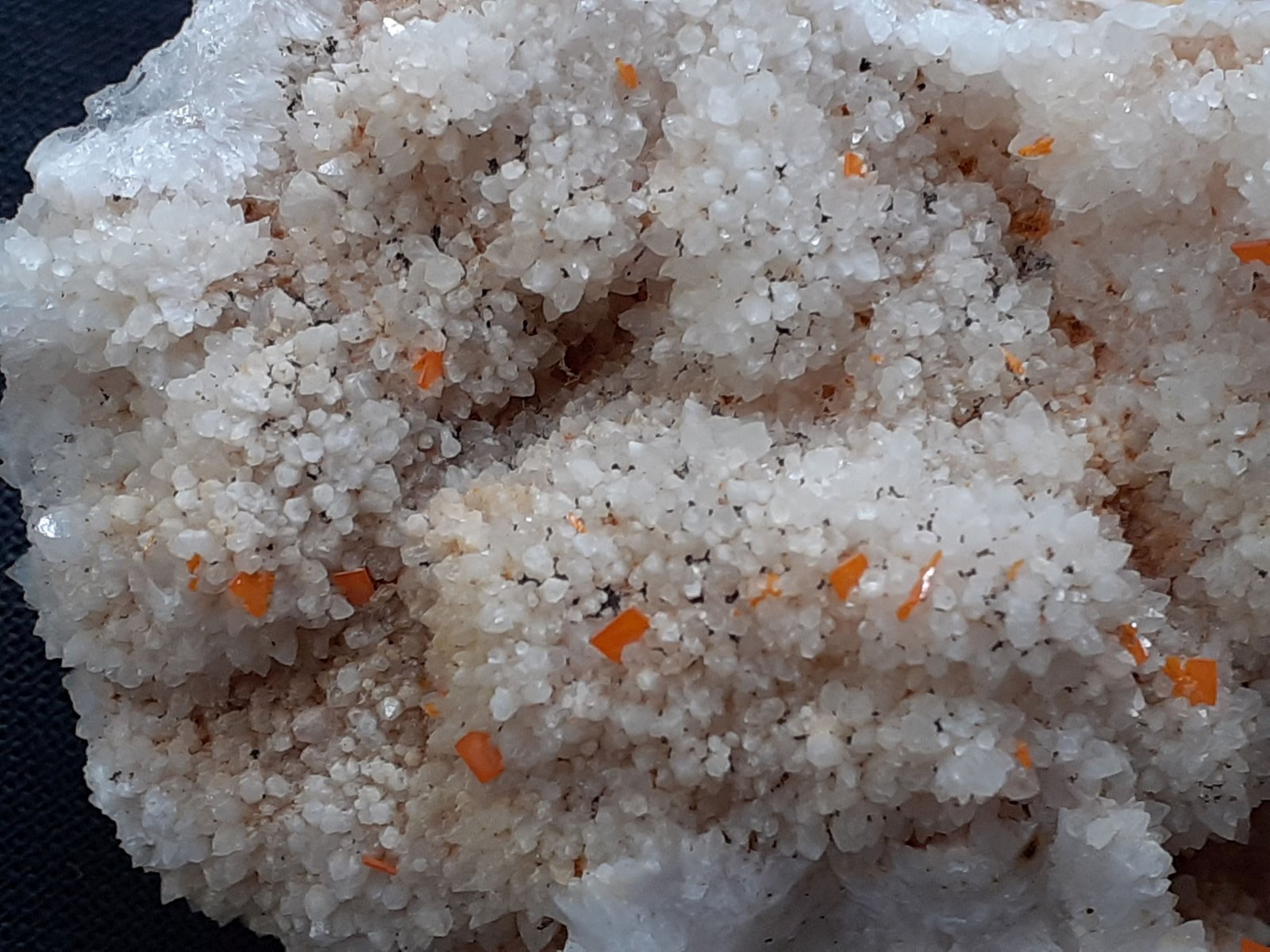 Wulfenite, Quartz
7 x 4 cm
(Autor: Volkmar Stingl)