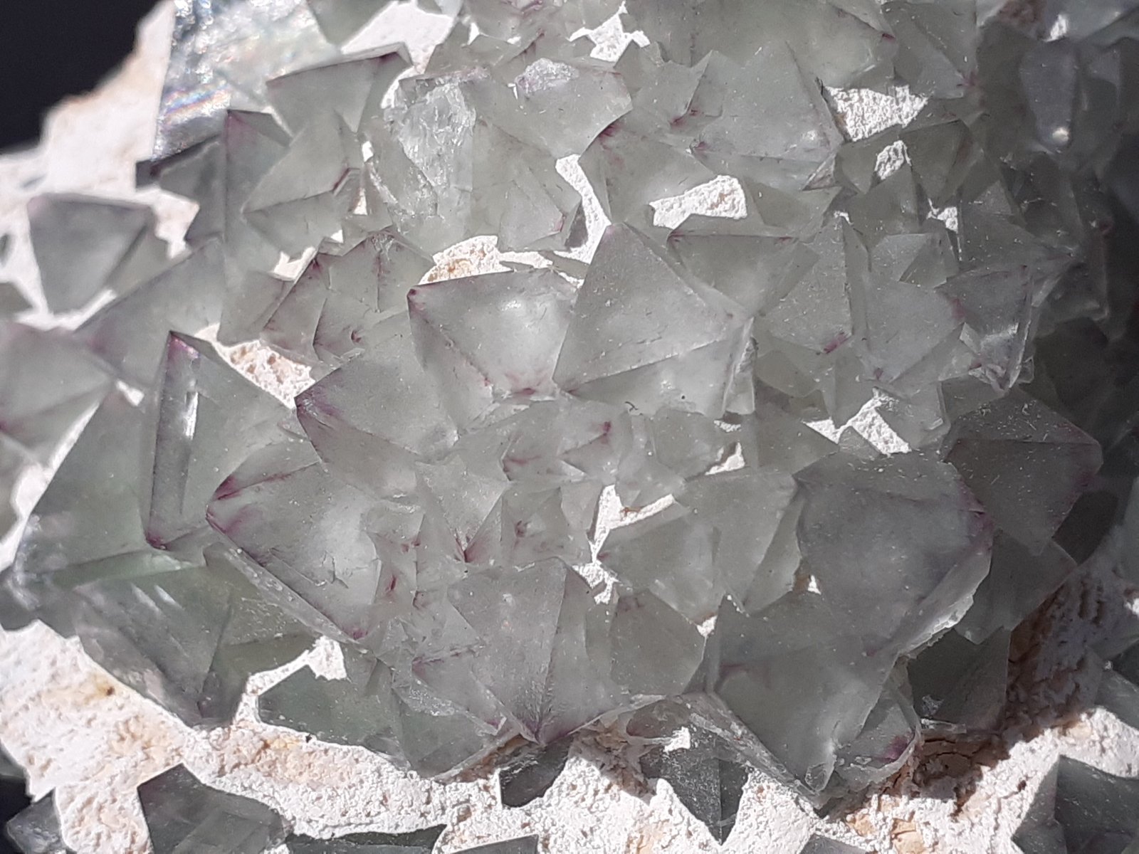 Fluorite
6 x 5,5 cm
(Autor: Volkmar Stingl)