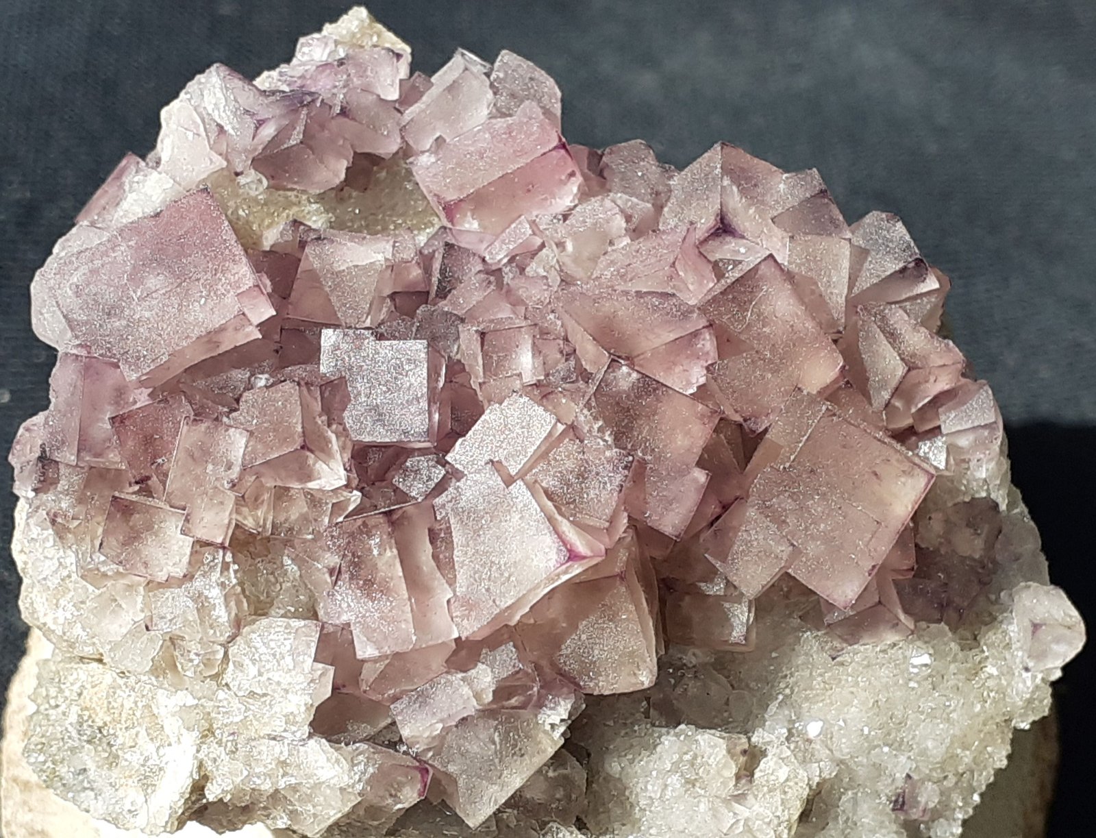 Fluorite
4 x 3 cm
(Autor: Volkmar Stingl)