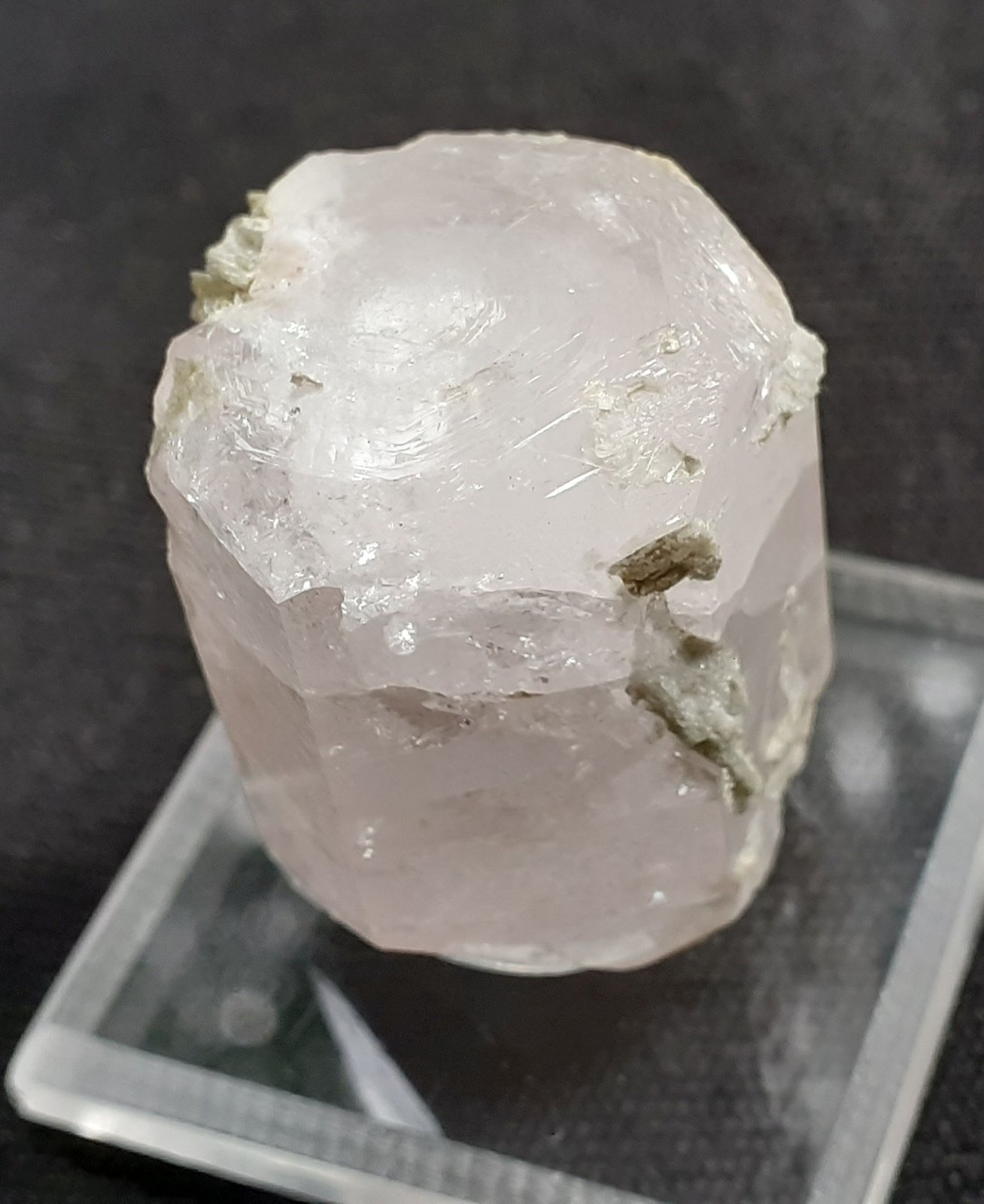 Beryl (variety morganite)
2,7 x 2 cm
(Autor: Volkmar Stingl)