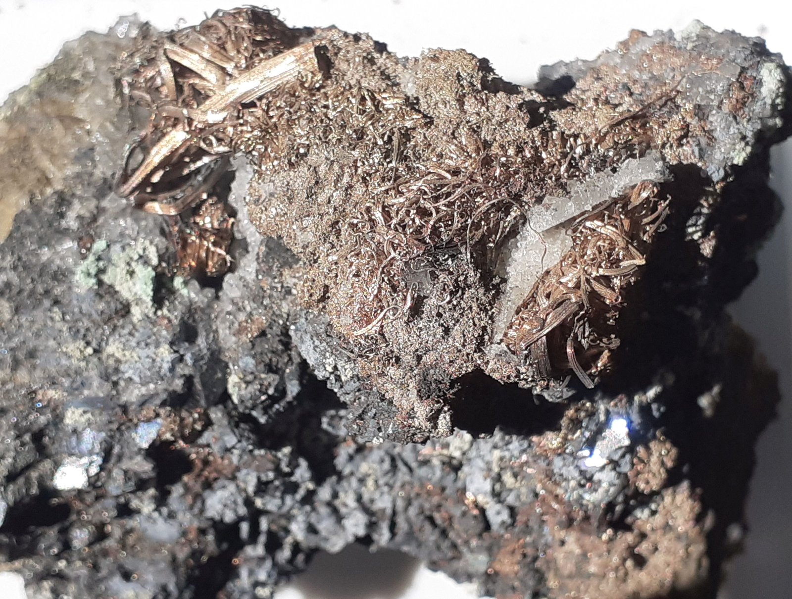 Silver
7 x 5 cm
(Autor: Volkmar Stingl)