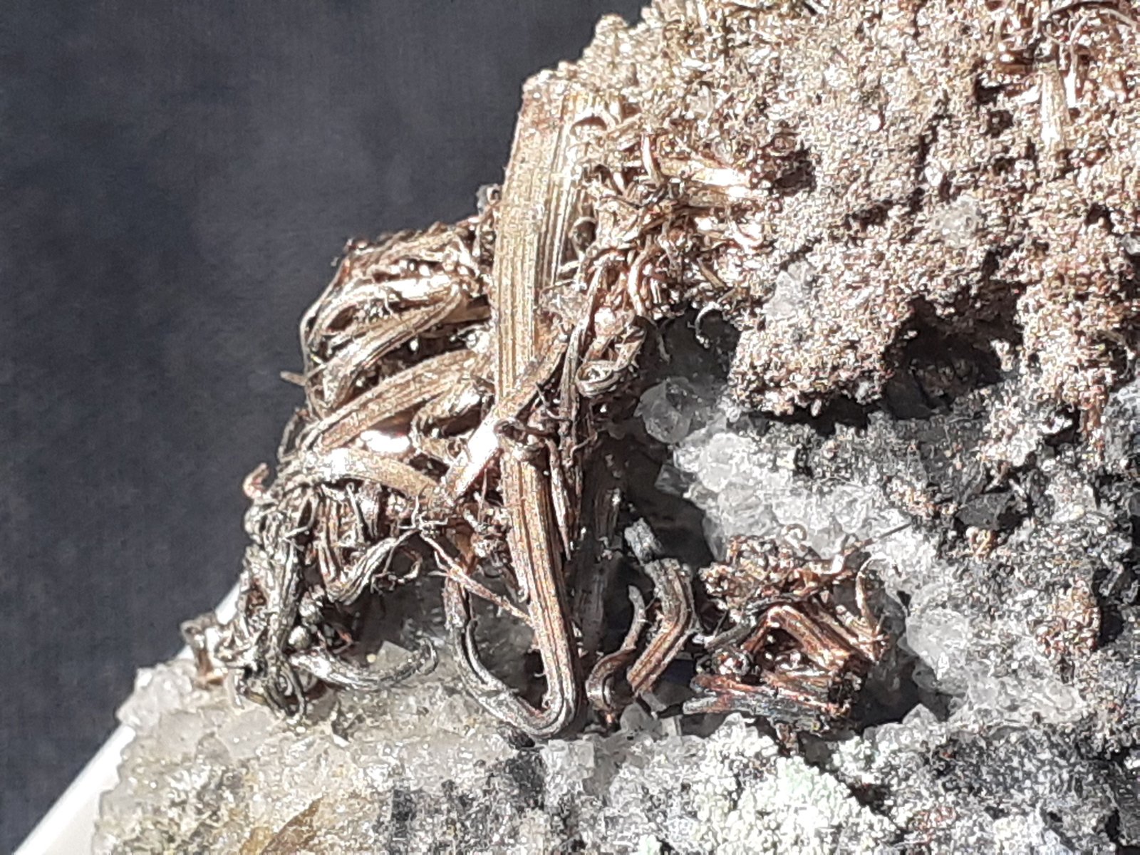 Silver
7 x 5 cm
(Autor: Volkmar Stingl)