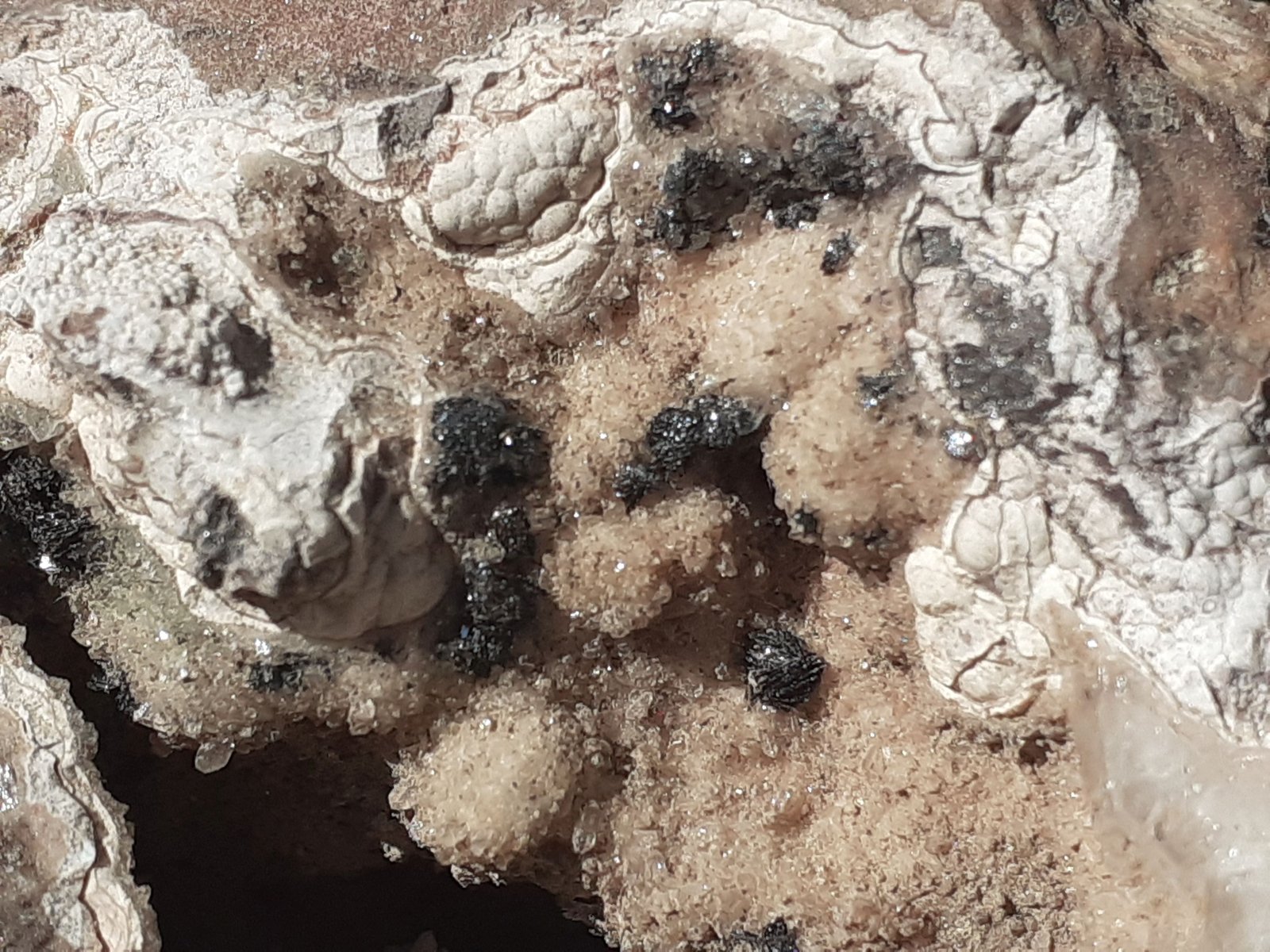 Quartz, Hematite
6 x 6 cm
(Autor: Volkmar Stingl)