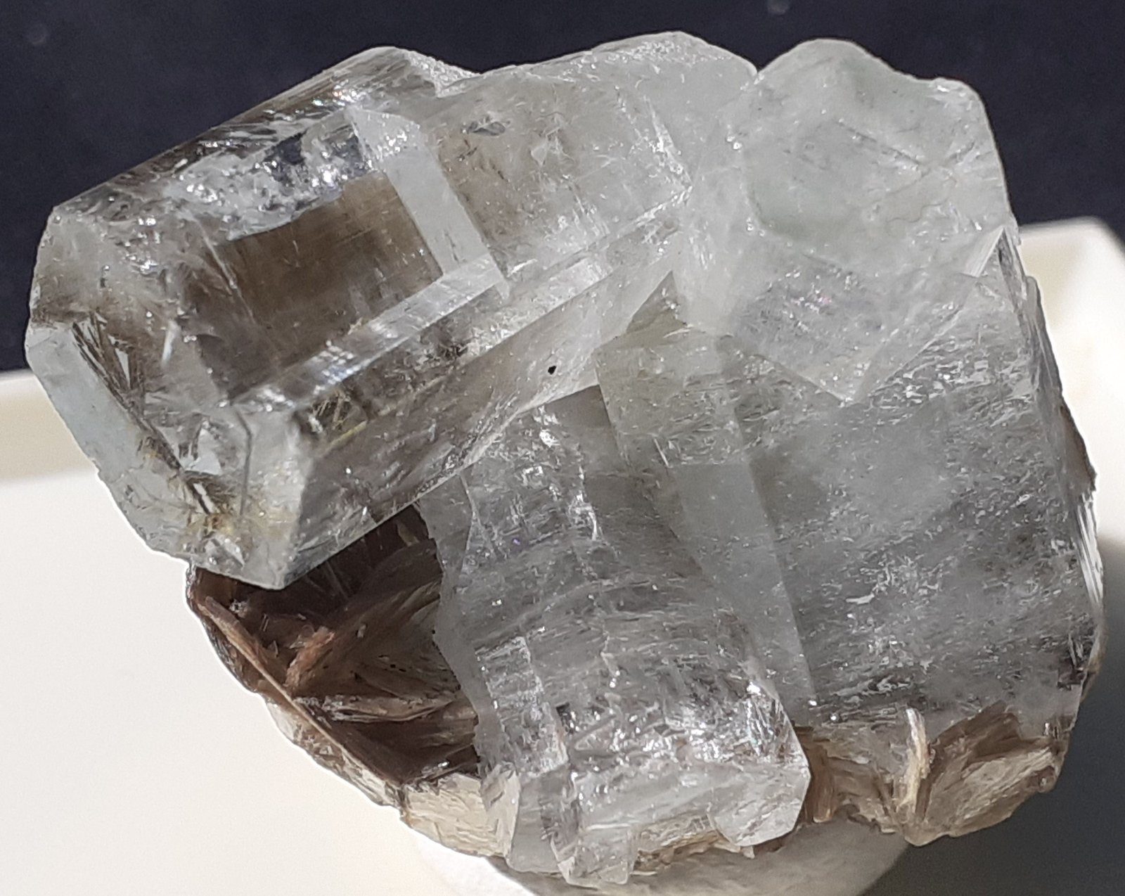 Beryl (variety aquamarine), Muscovite
3 x 2 cm
(Autor: Volkmar Stingl)