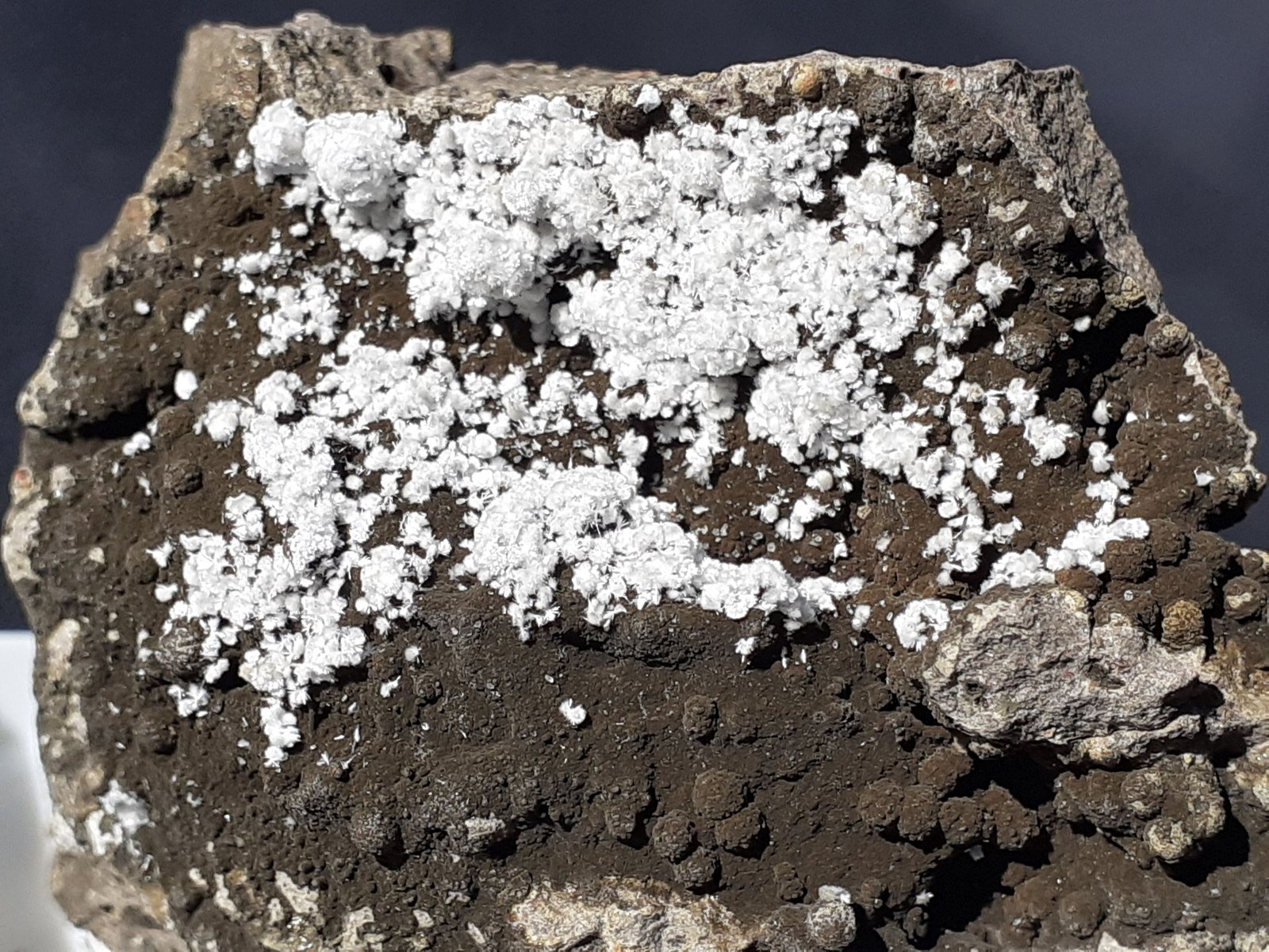 Ferrierite-Mg
5 x 3,5 cm
(Autor: Volkmar Stingl)