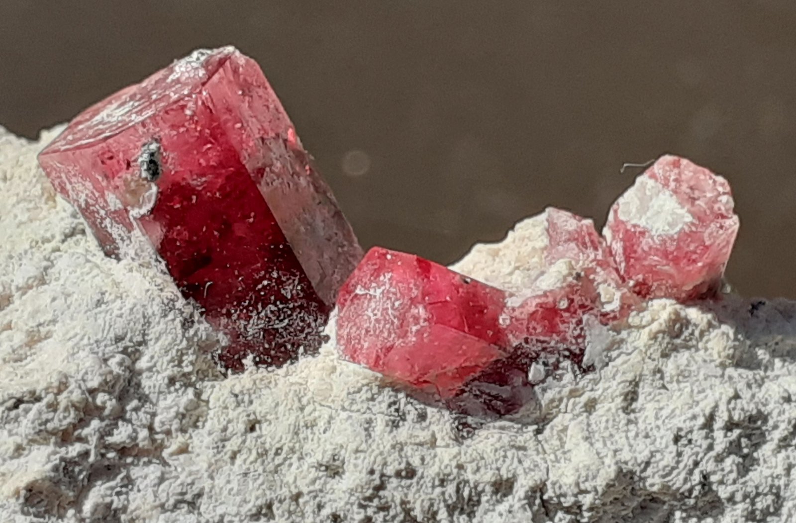 Beryl (variety Red Beryl)
3,5 x 3 cm
(Autor: Volkmar Stingl)