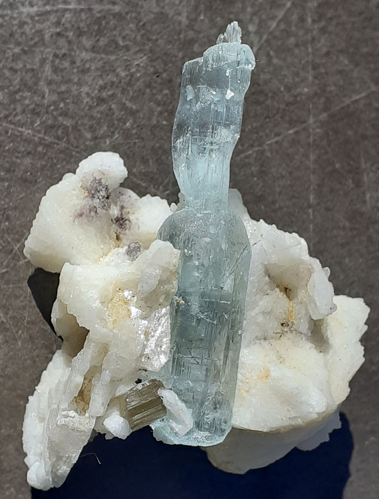 Beryl (variety Aquamarine), Albite, Muskovite
4,5 x 4 cm
(Autor: Volkmar Stingl)