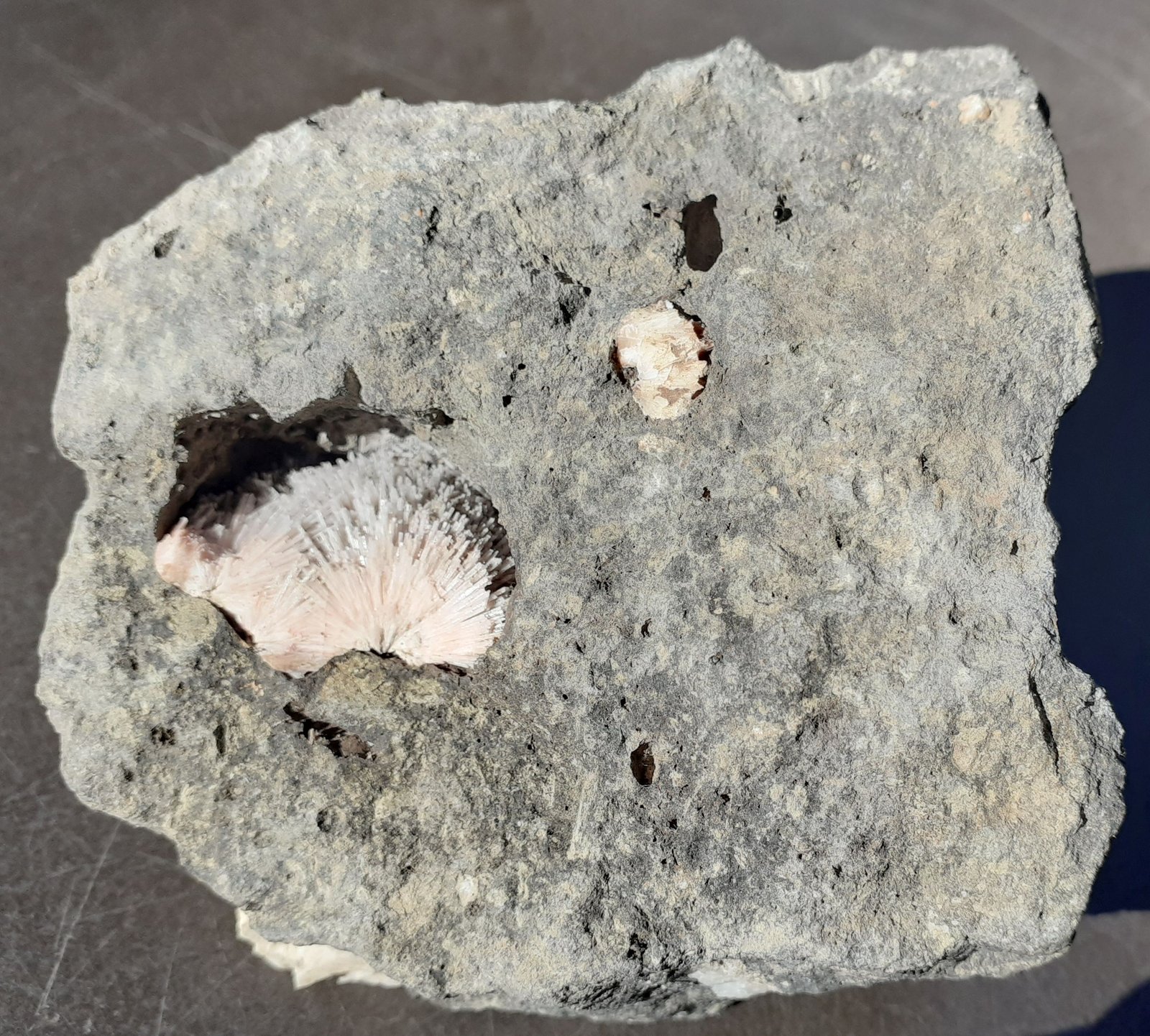 Natrolite
8 x 7 cm
(Autor: Volkmar Stingl)