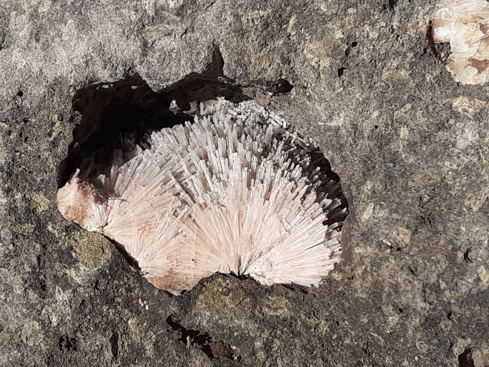 Natrolite
8 x 7 cm
(Autor: Volkmar Stingl)