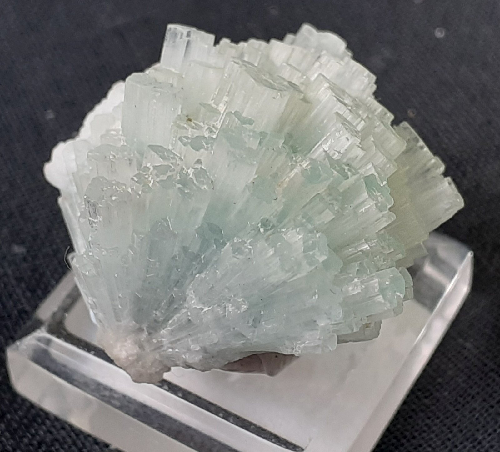Beryl (variety aquamarine)
2 x 2 cm
(Autor: Volkmar Stingl)