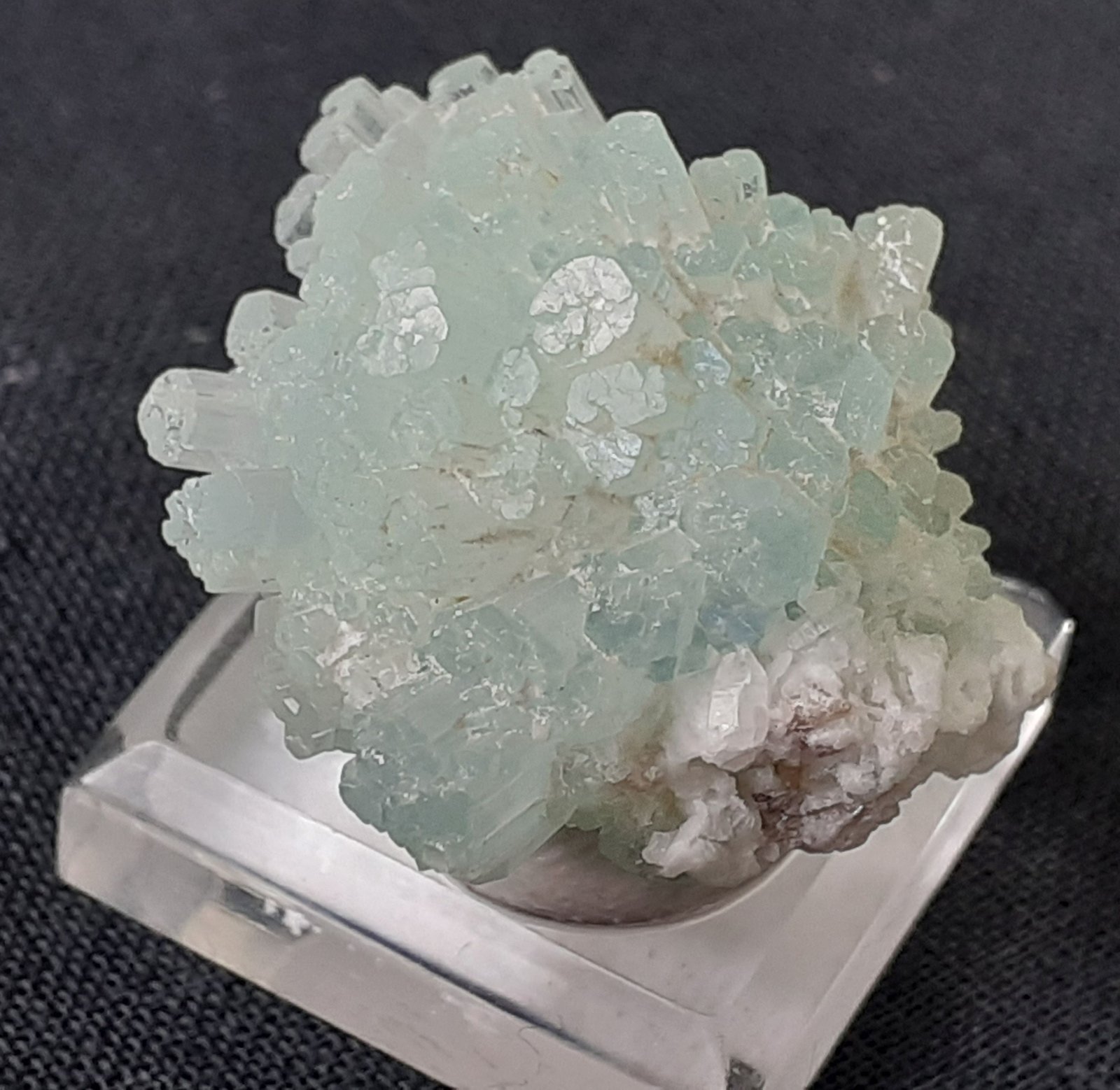 Beryl (variety aq<br />{LOCALITAT}