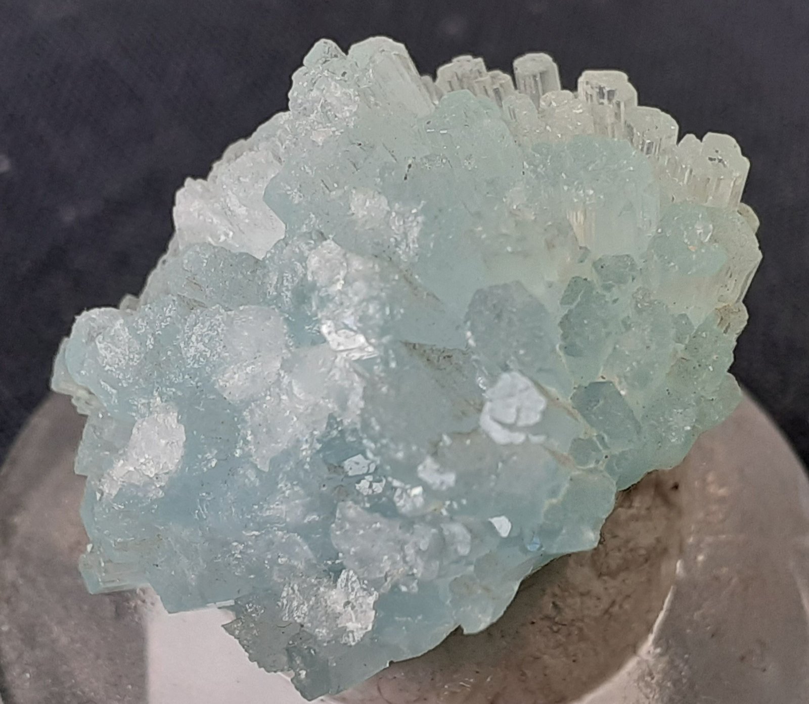 Beryl (variety aquamarine)
2,5 x 2 cm
(Autor: Volkmar Stingl)